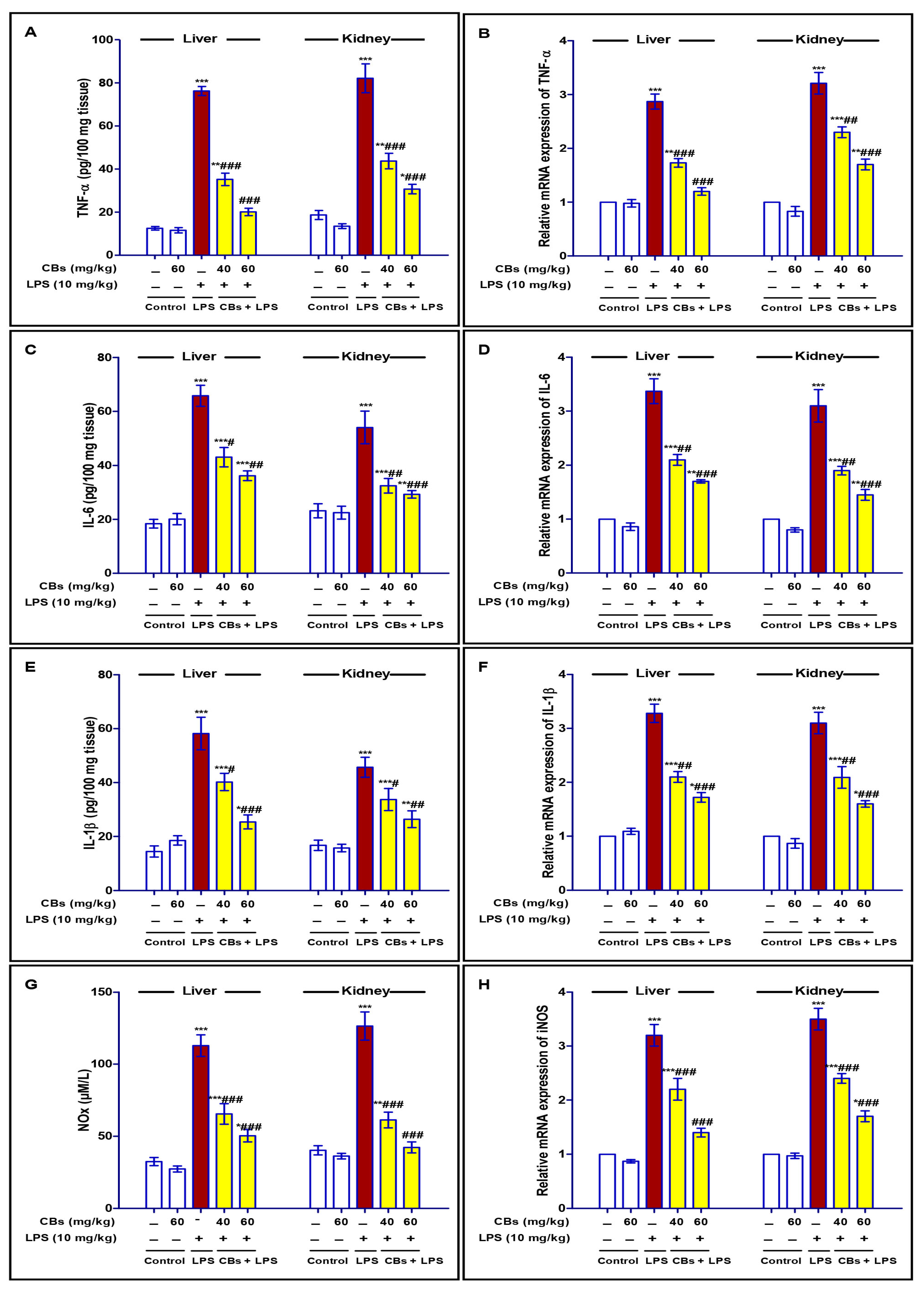 Biology 12 00938 g004 Biology 12 00938 g004