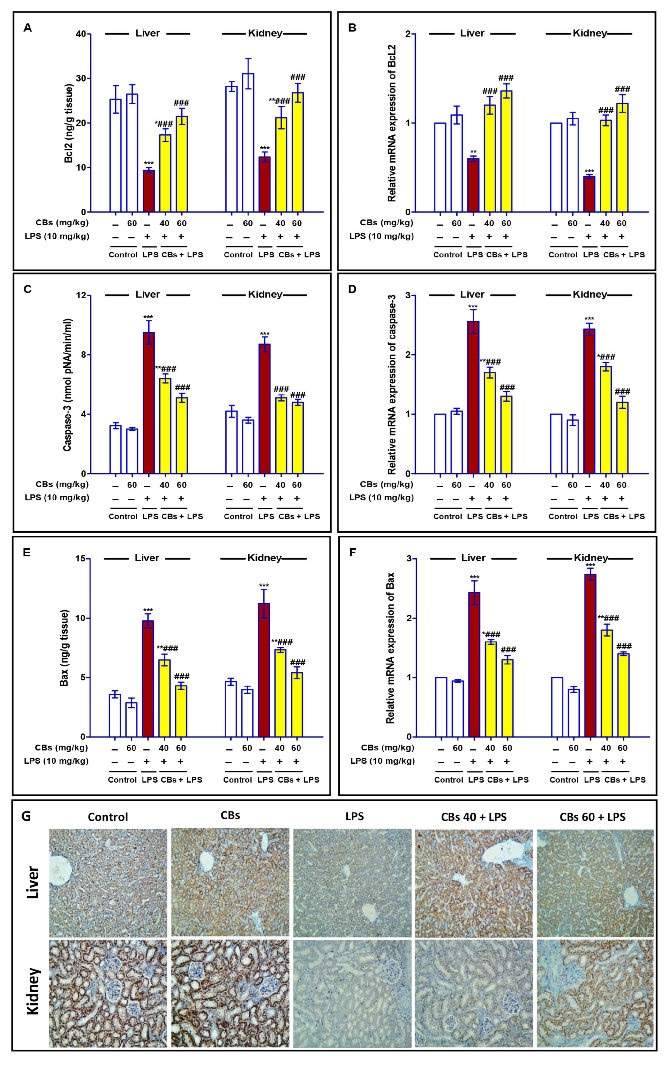 Biology 12 00938 g006a Biology 12 00938 g006a