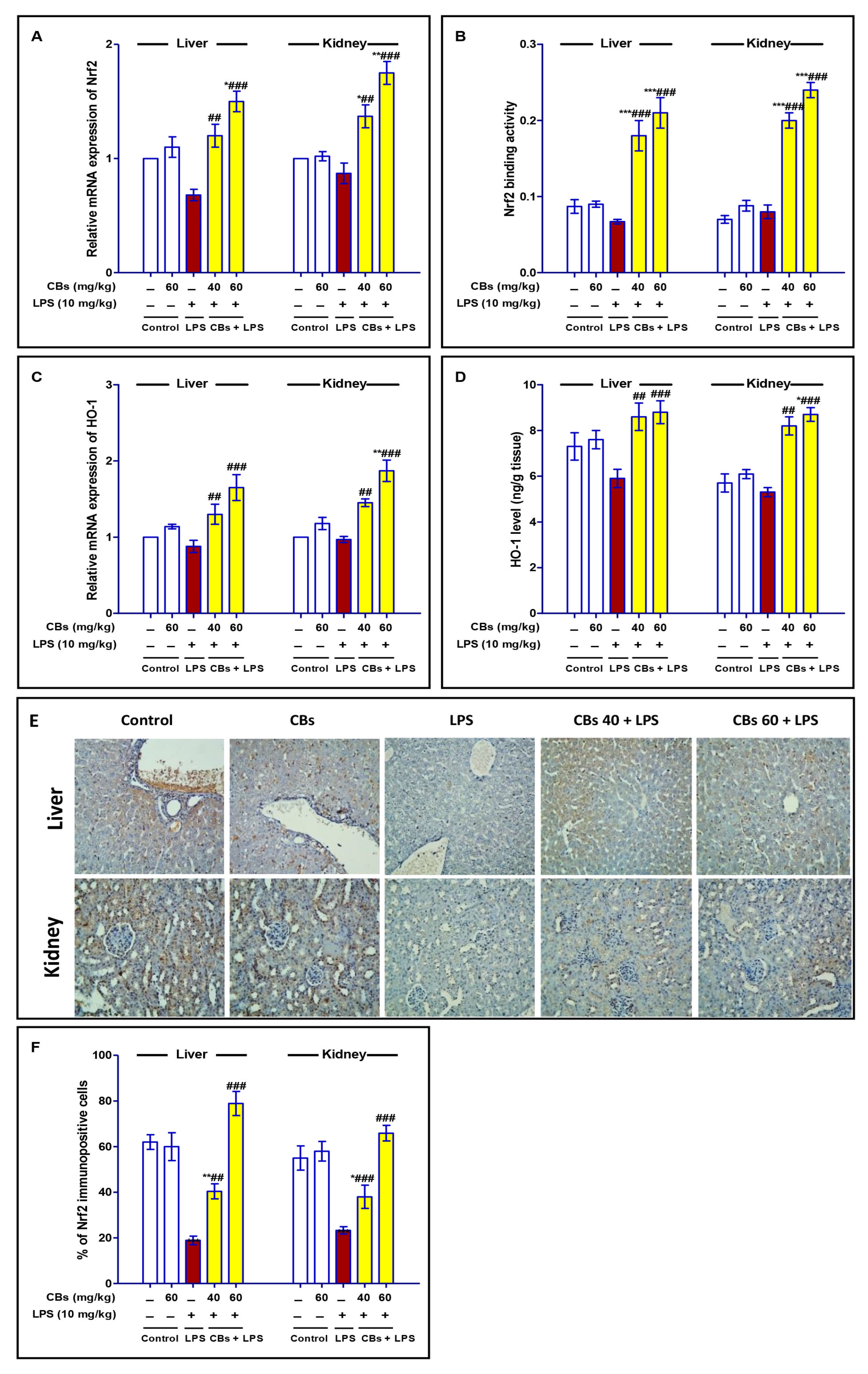 Biology 12 00938 g007 Biology 12 00938 g007