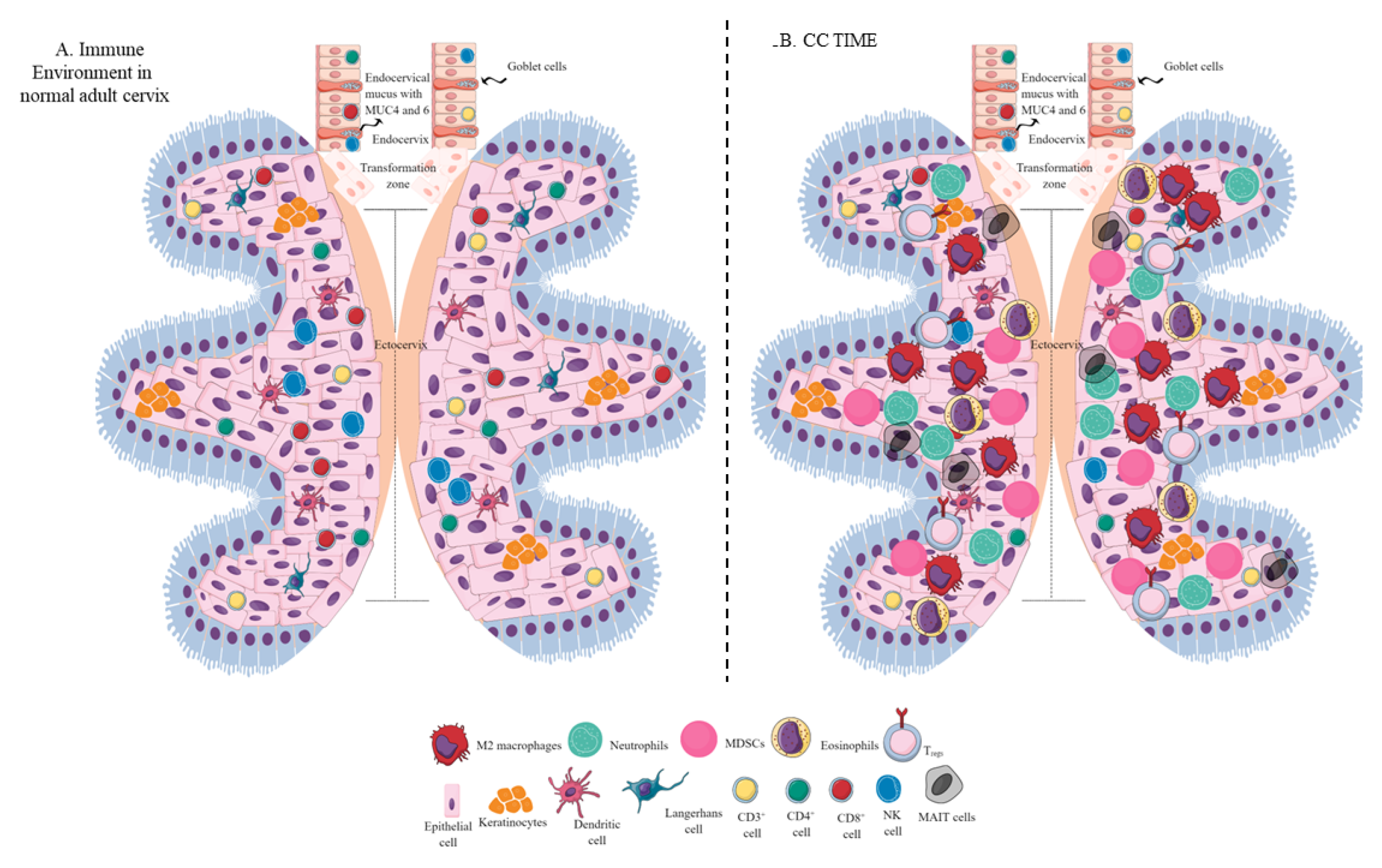 Biology 12 00941 g001 550