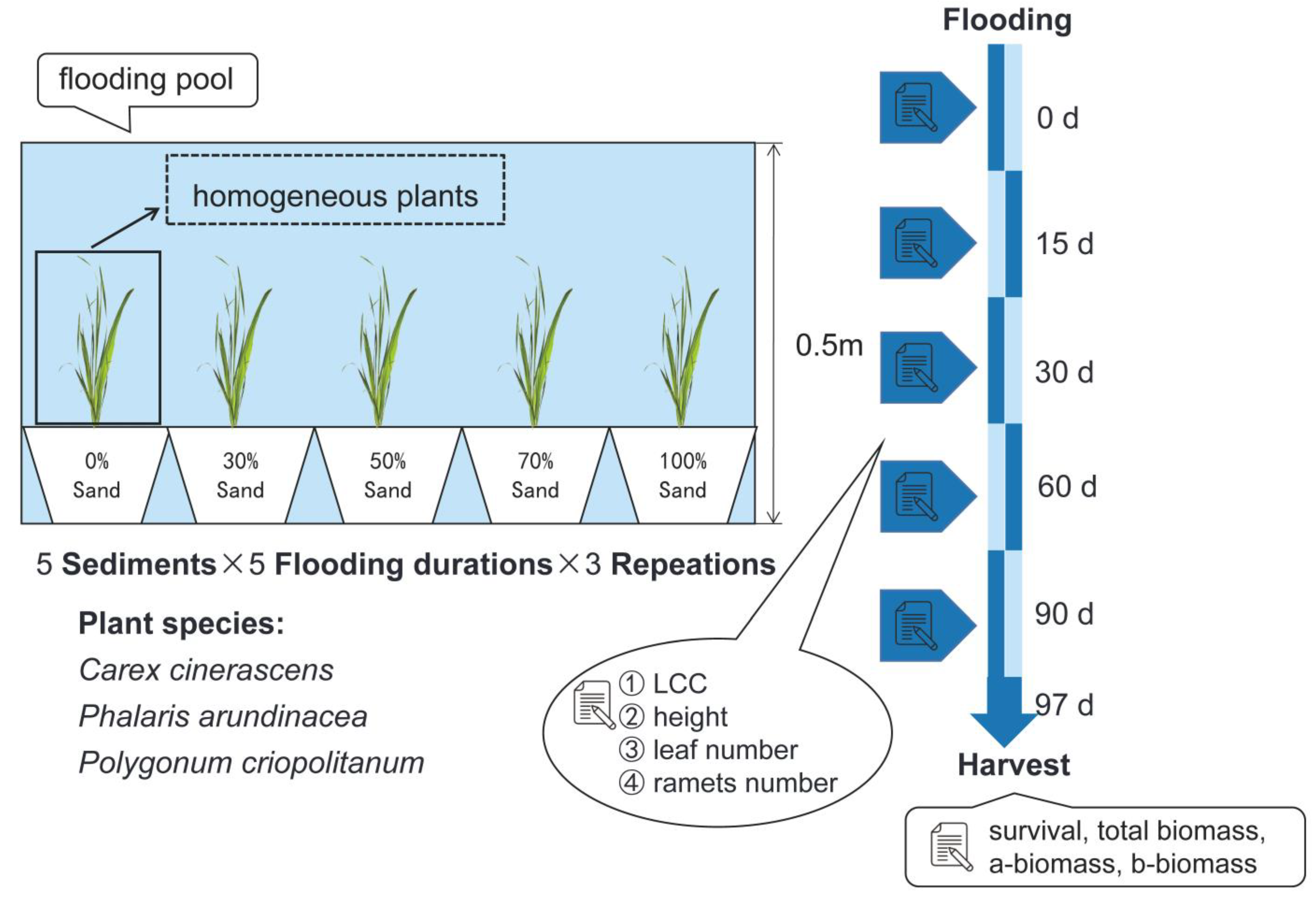 Biology 12 00944 g001 Biology 12 00944 g001