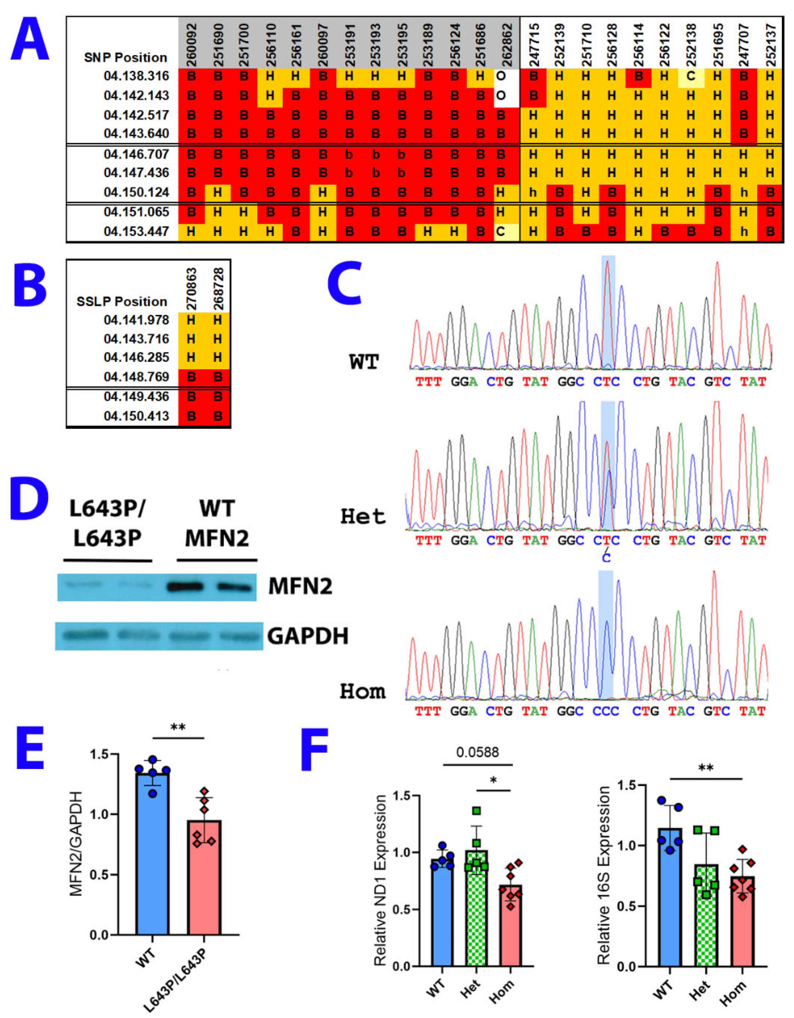 Biology 12 00953 g001 Biology 12 00953 g001