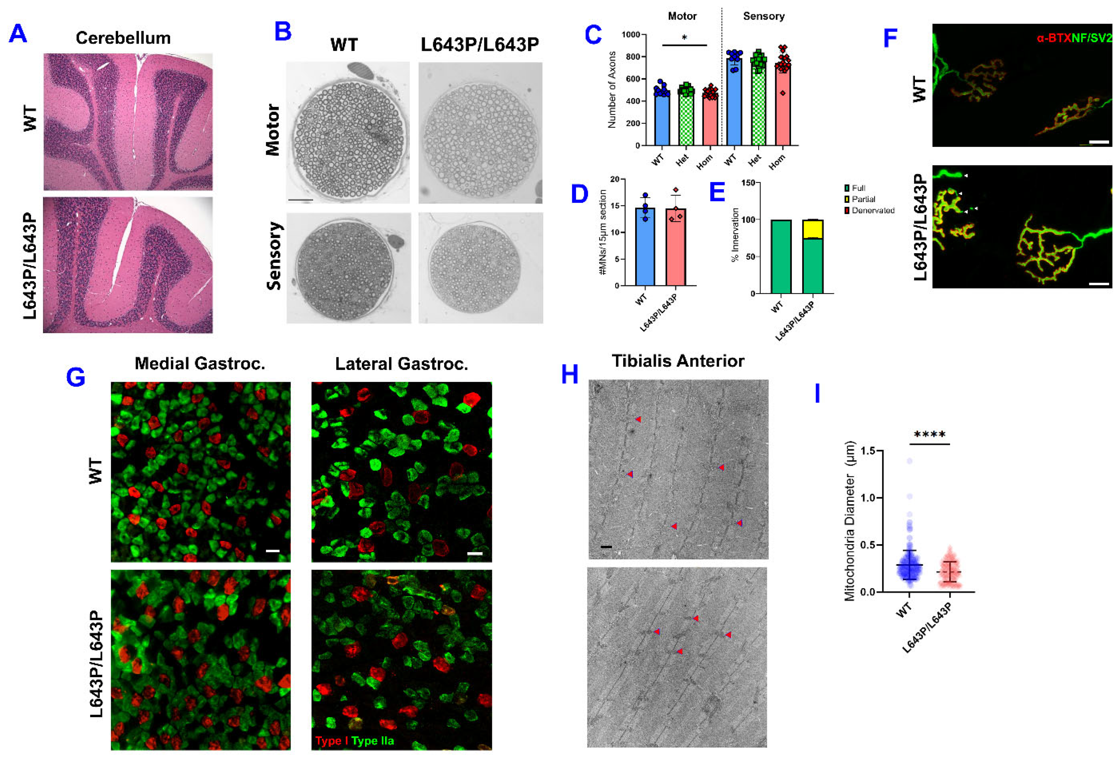 Biology 12 00953 g004 Biology 12 00953 g004