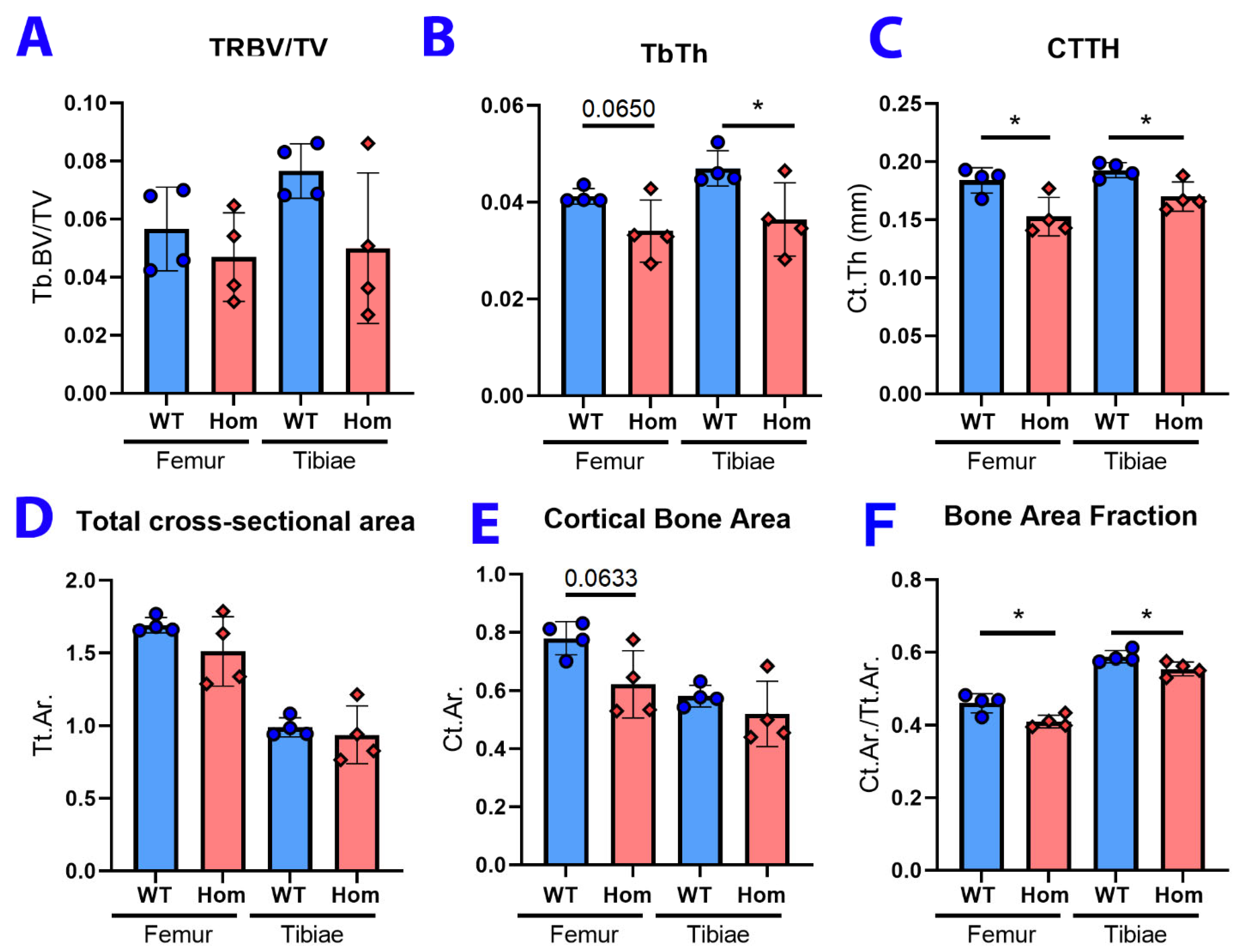 Biology 12 00953 g005 Biology 12 00953 g005