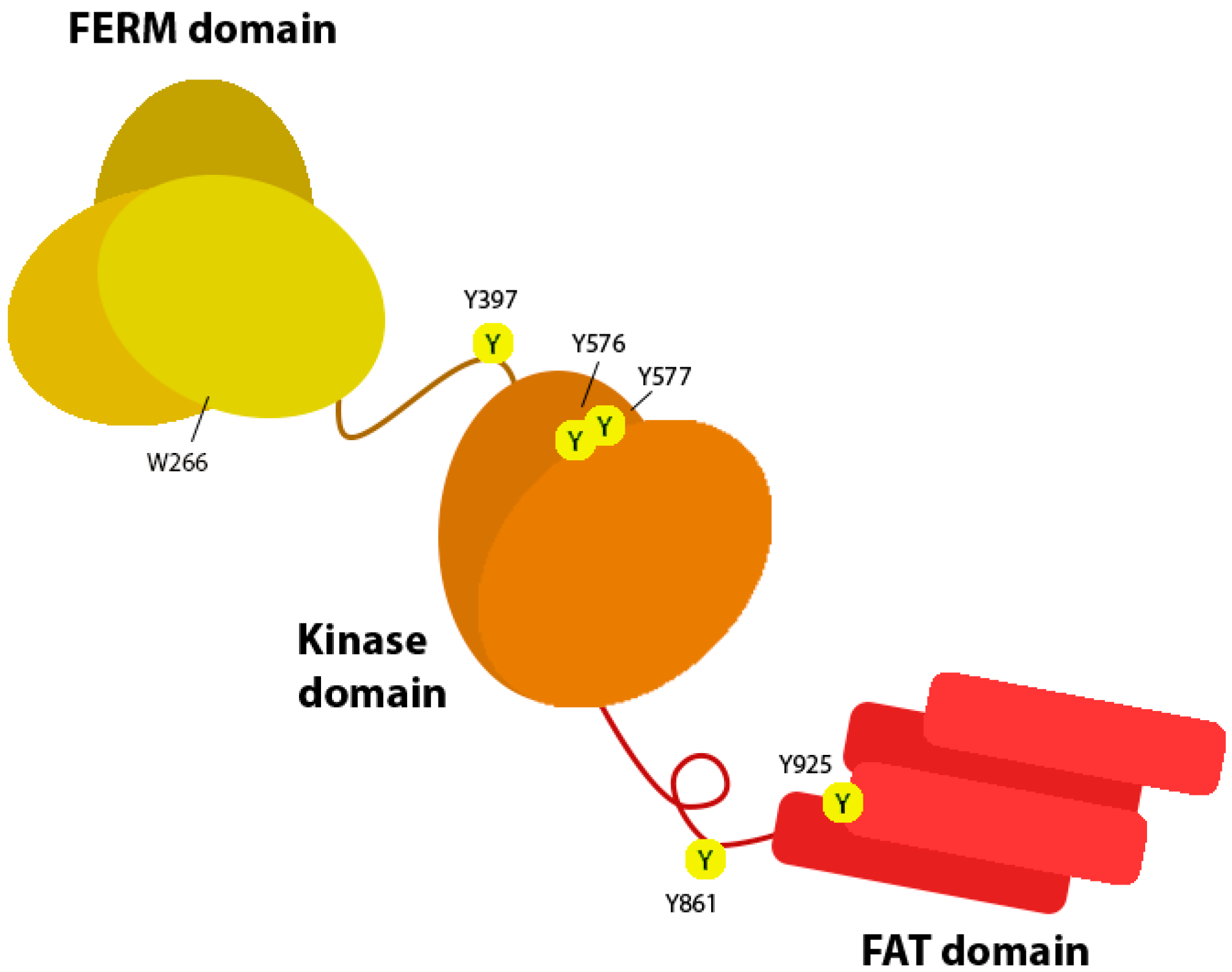 Biology 12 00954 g003