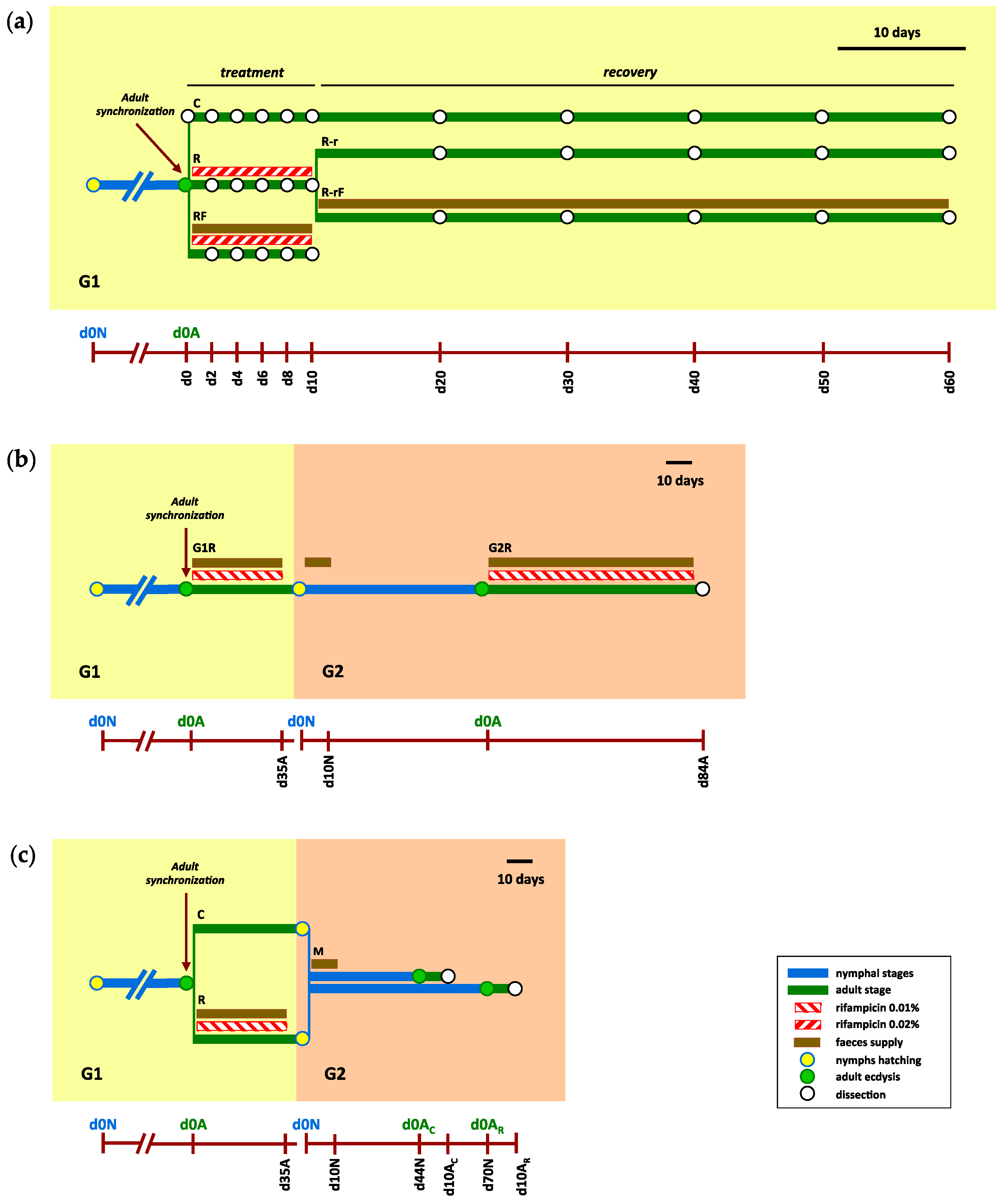 Biology 12 00955 g001 Biology 12 00955 g001
