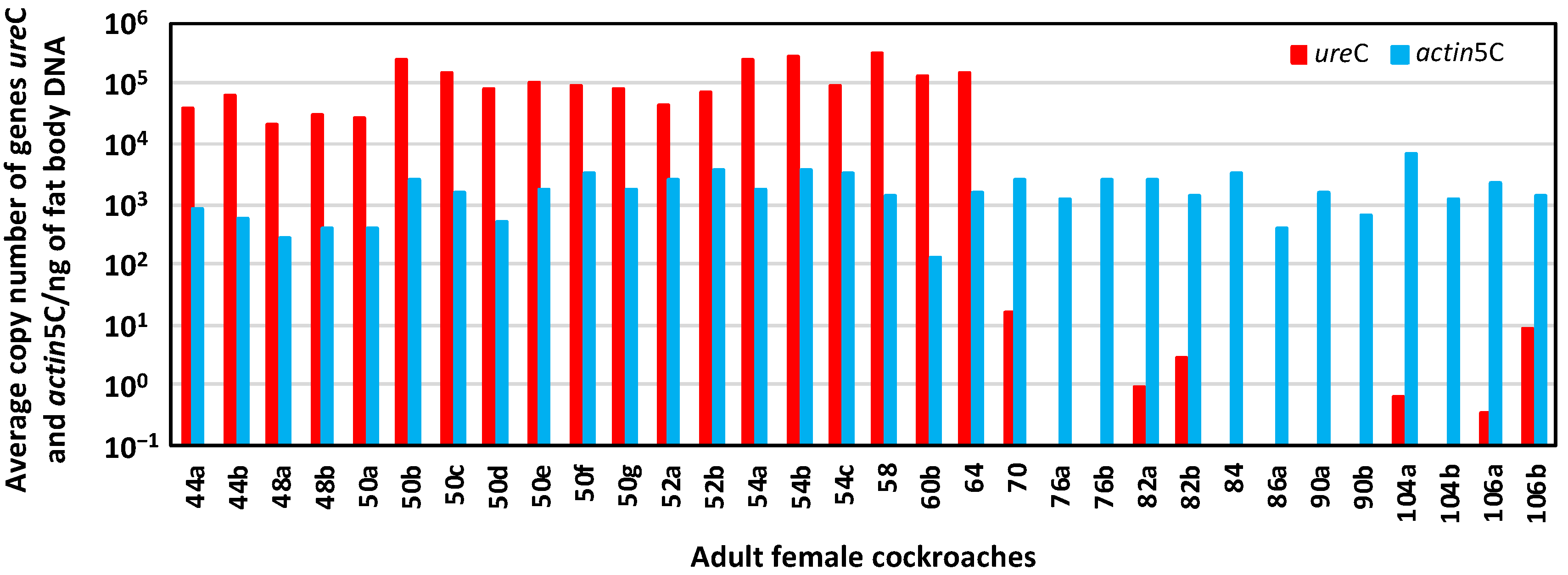 Biology 12 00955 g010 Biology 12 00955 g010