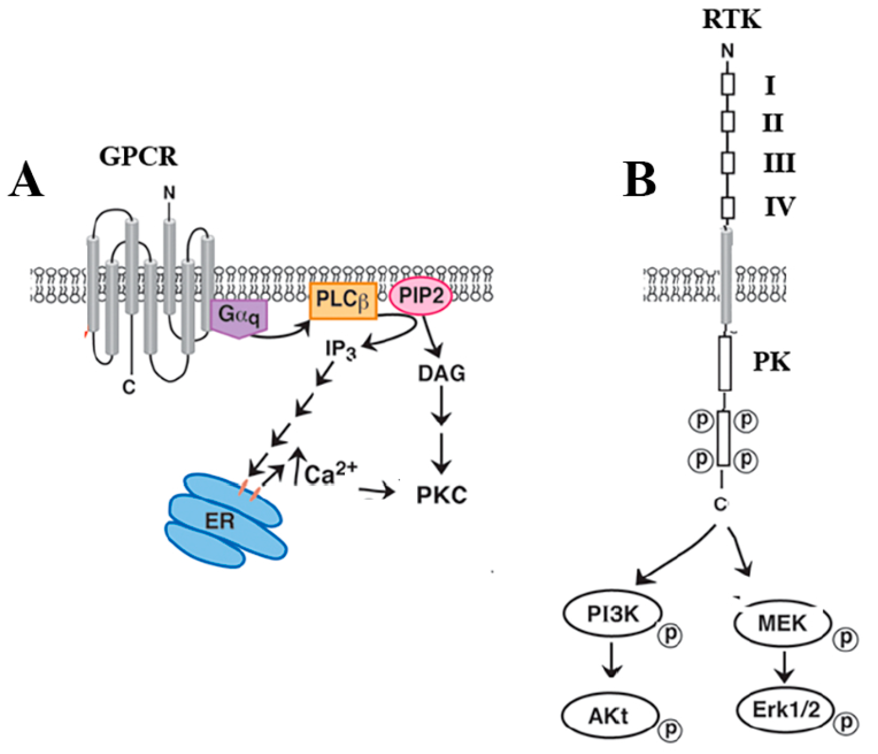 Biology 12 00957 g001