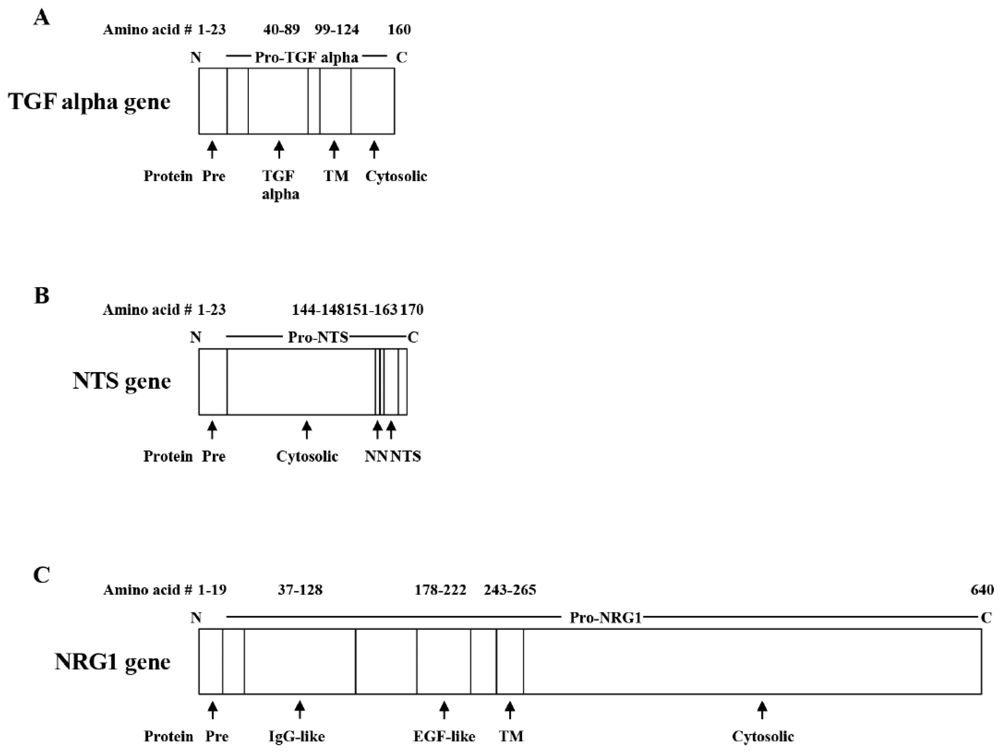 Biology 12 00957 g002