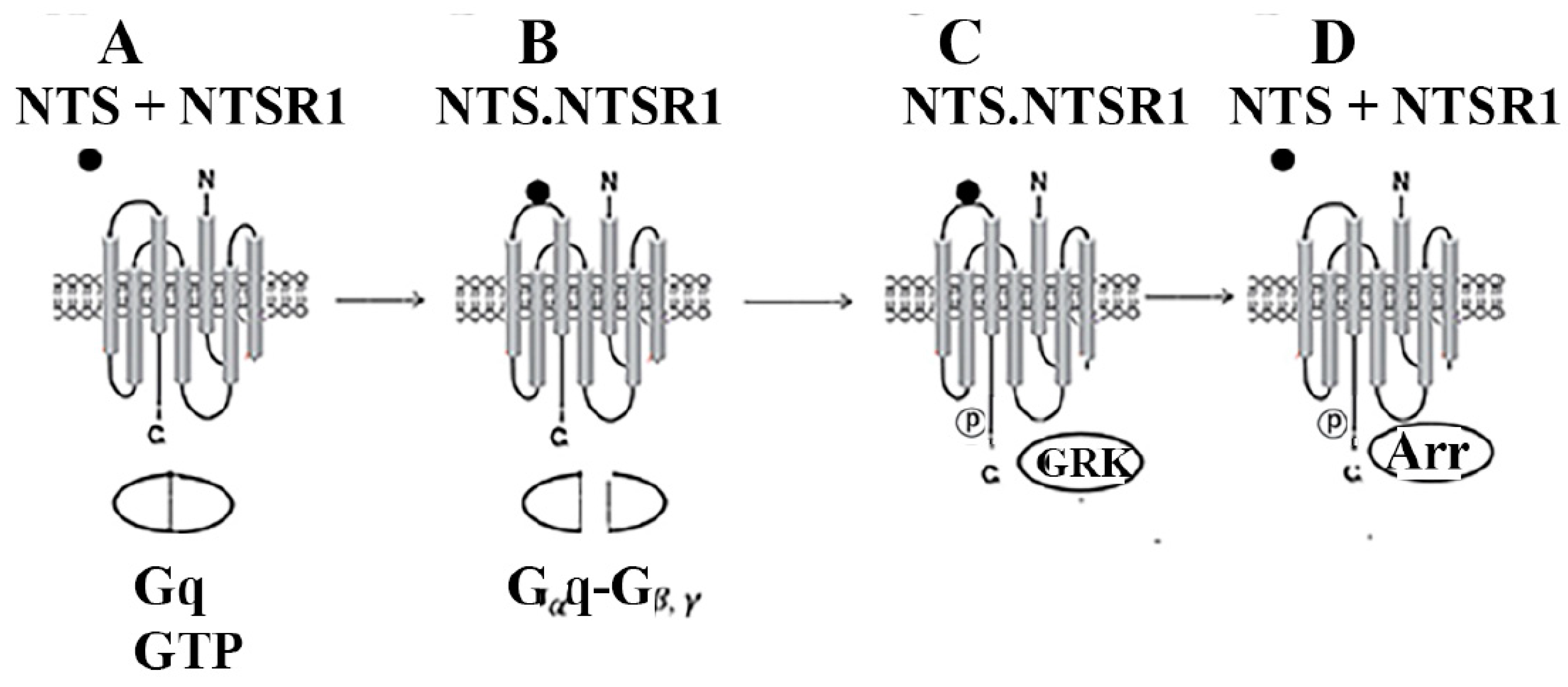 Biology 12 00957 g003
