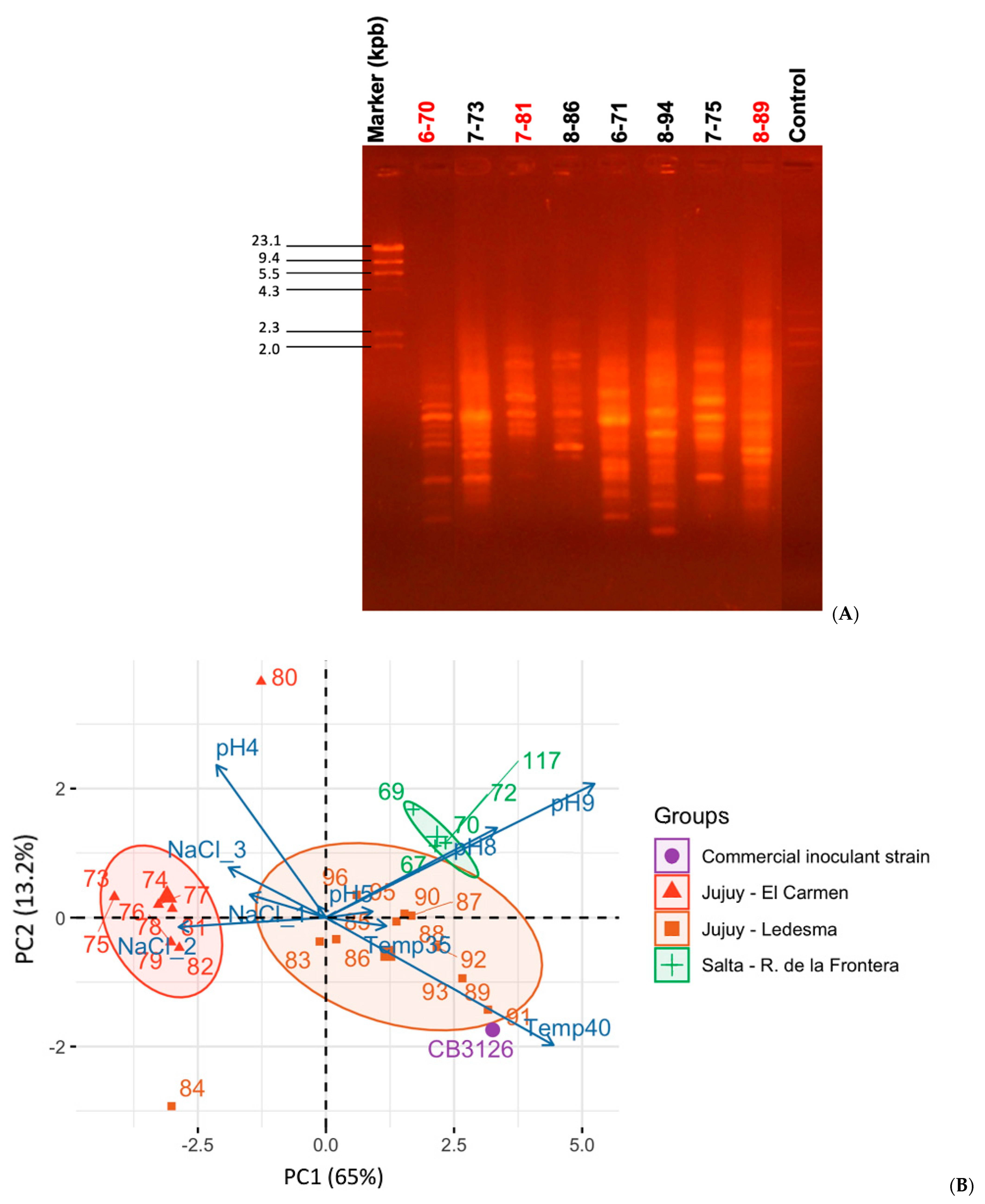Biology 12 00958 g002 Biology 12 00958 g002