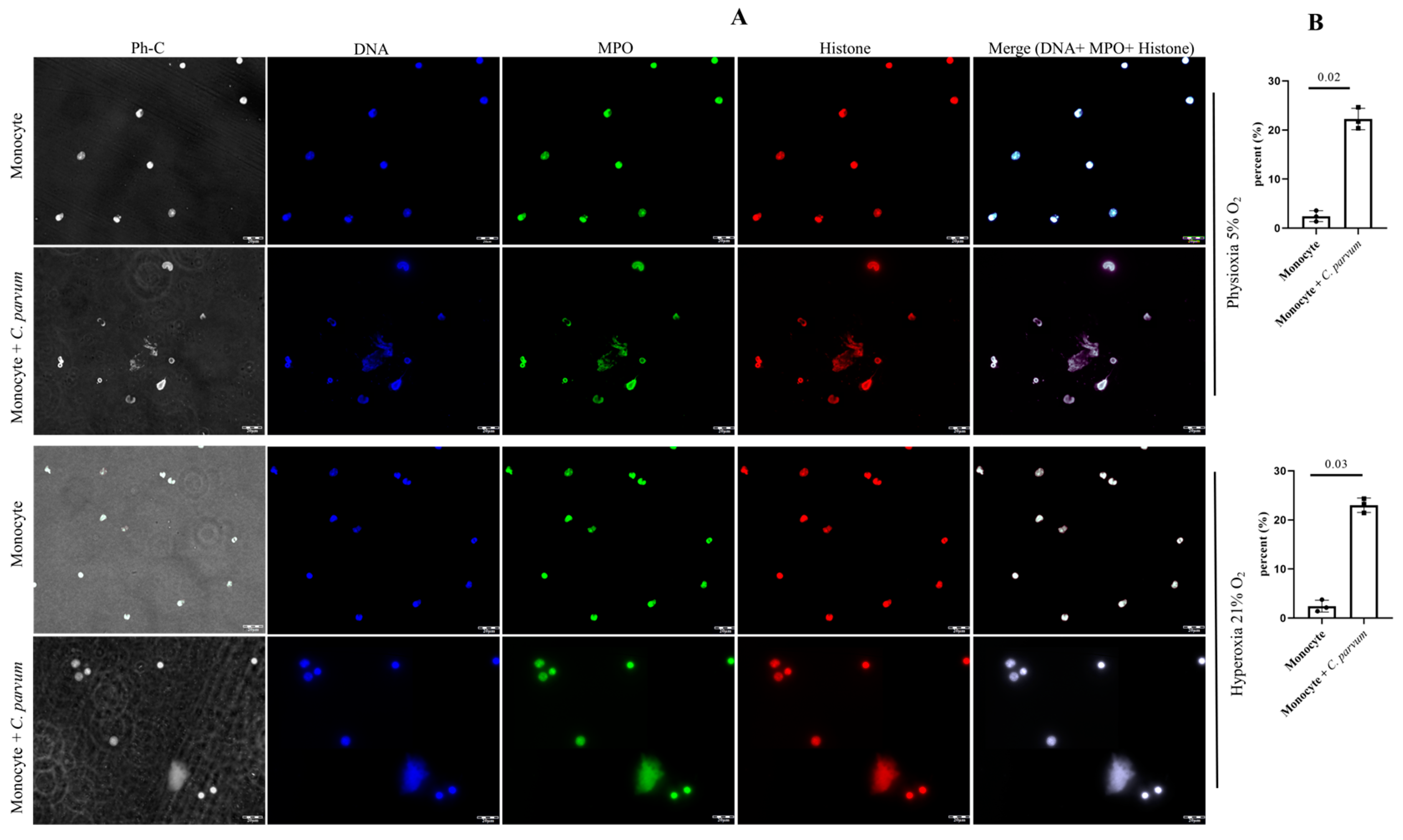 Biology 12 00961 g002 Biology 12 00961 g002