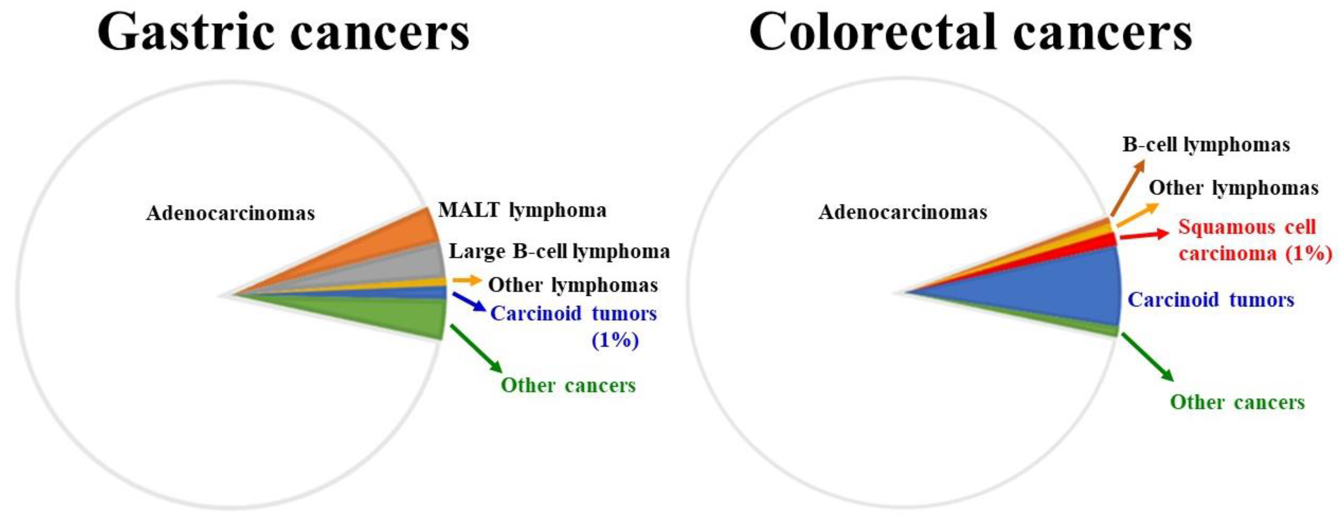 Biology 12 00963 g001