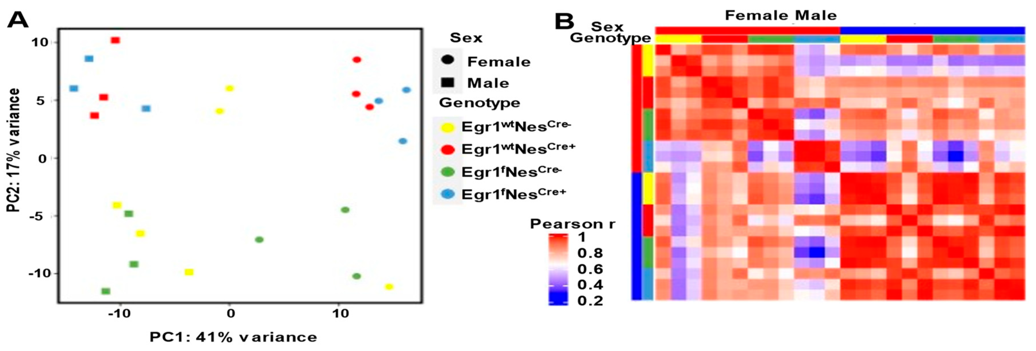 Biology 12 00966 g003 Biology 12 00966 g003