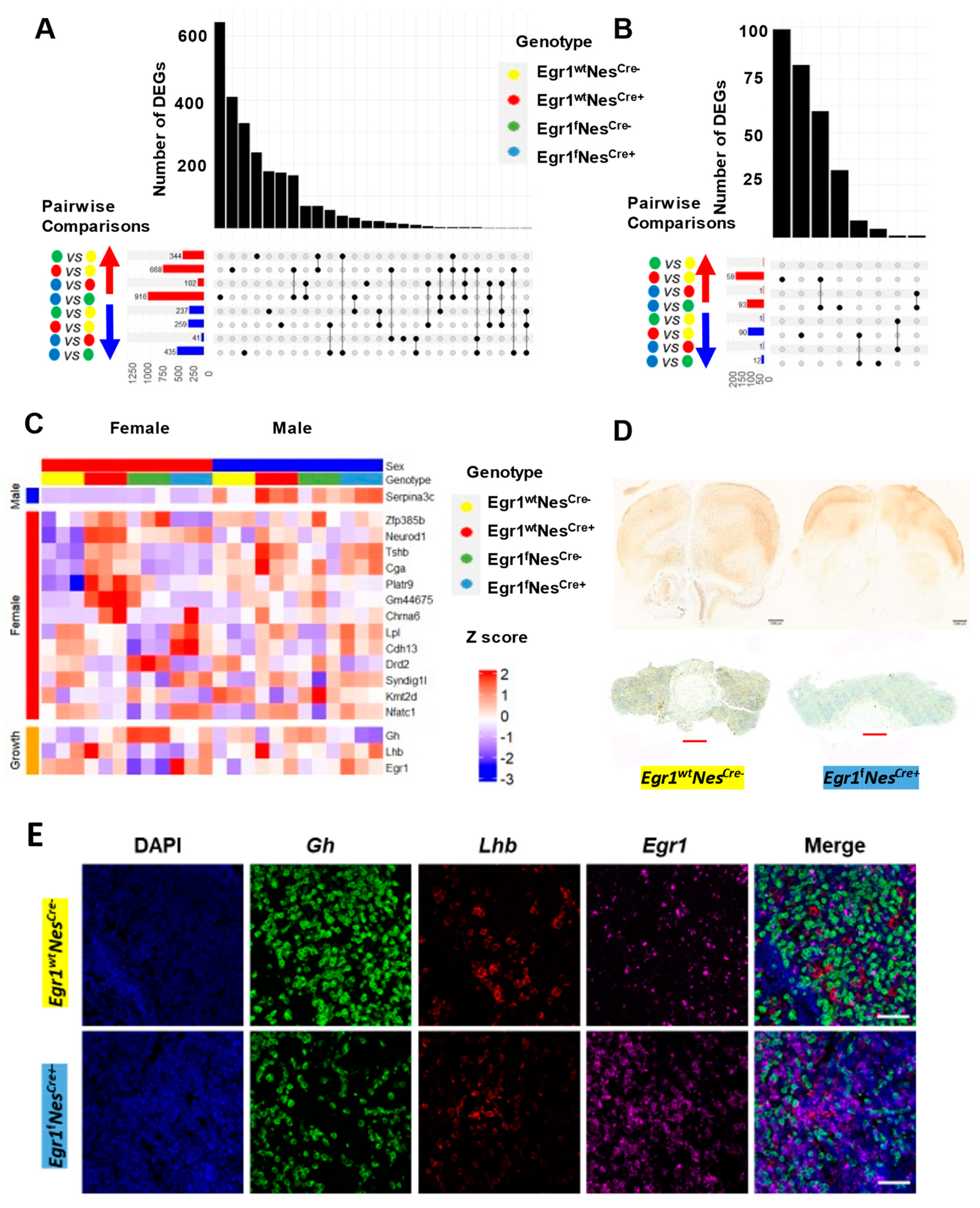 Biology 12 00966 g006 Biology 12 00966 g006