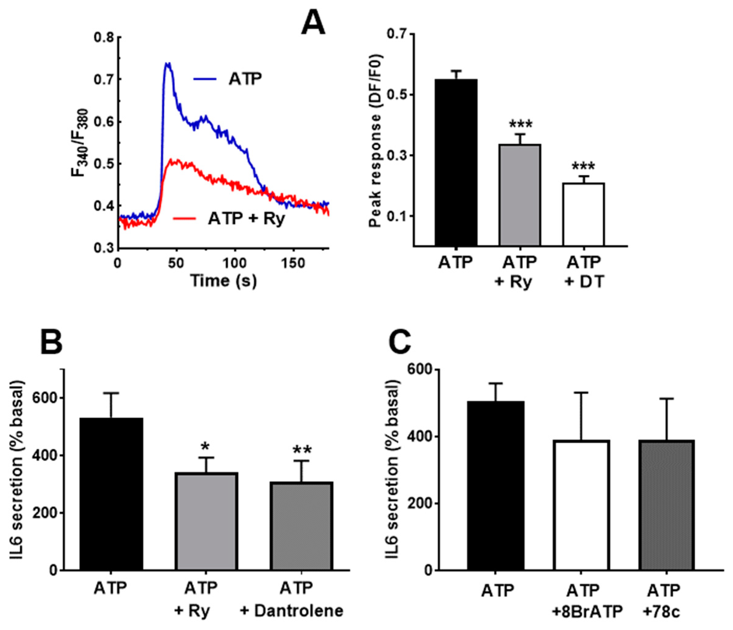 Biology 12 00968 g006 Biology 12 00968 g006