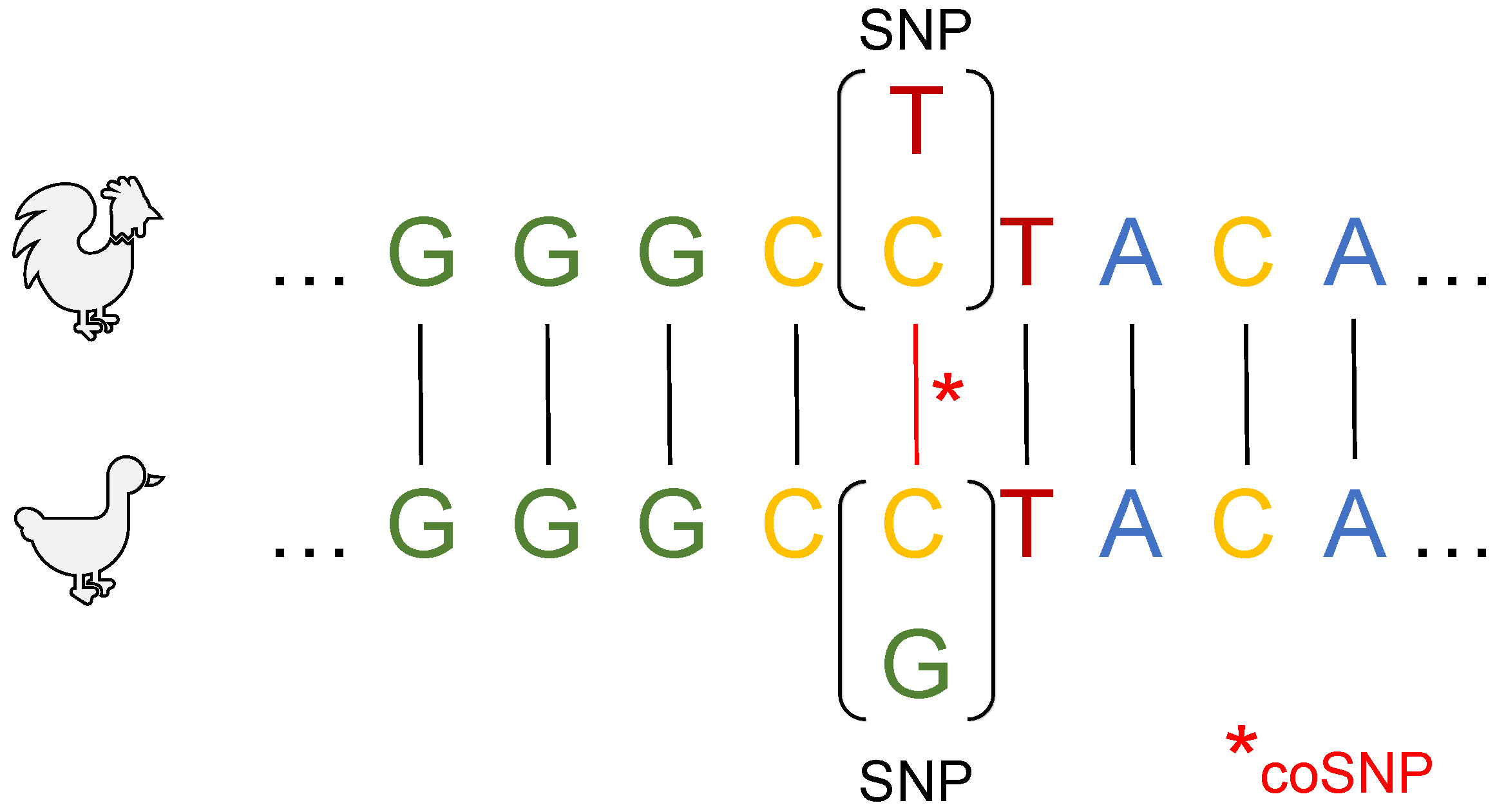 Biology 12 00969 g001