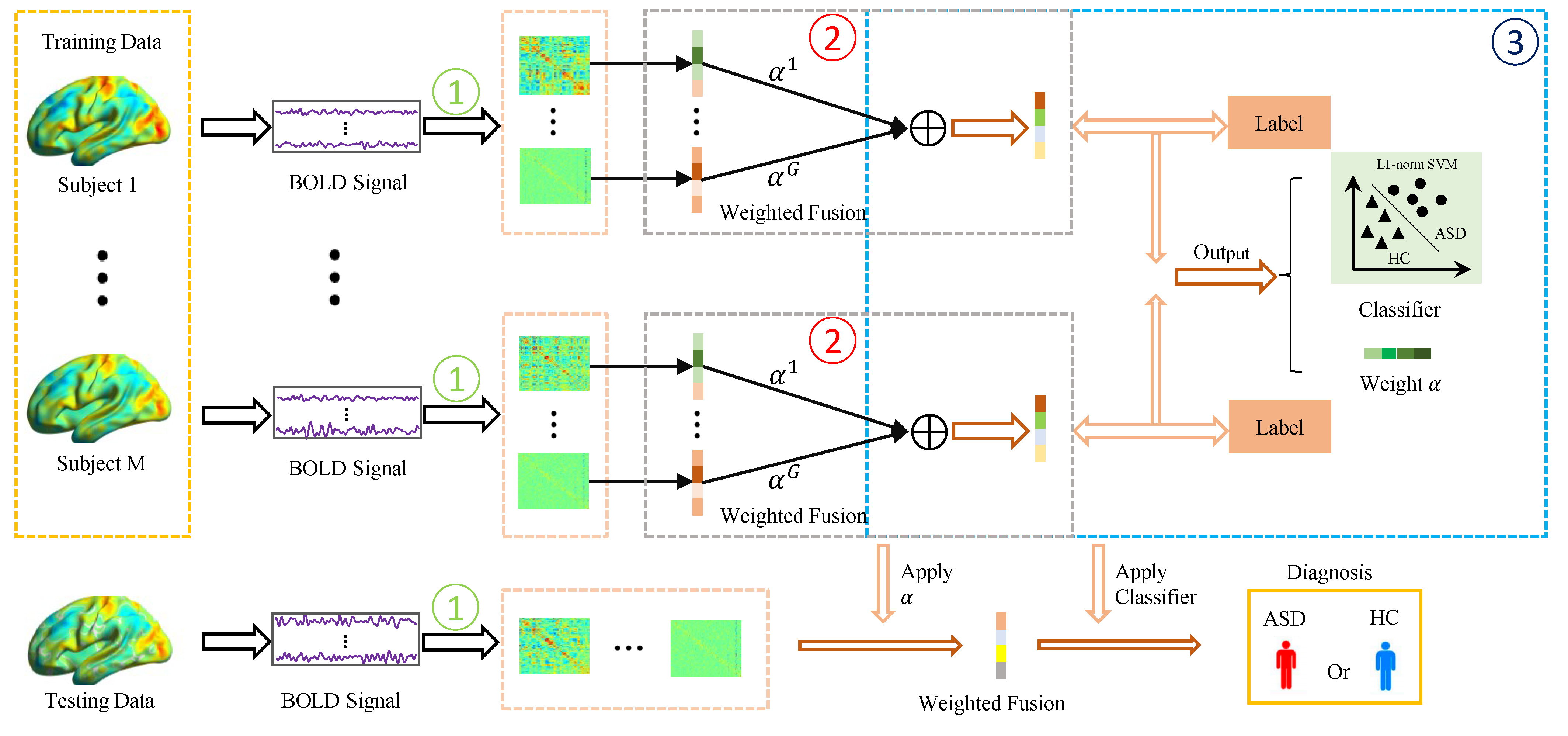 Biology 12 00971 g001 Biology 12 00971 g001
