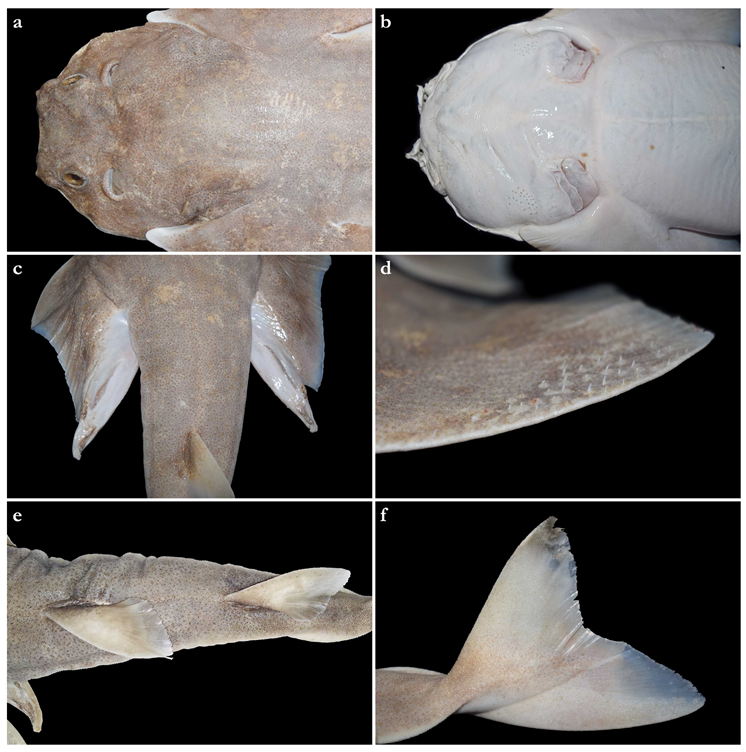 Biology 12 00975 g002