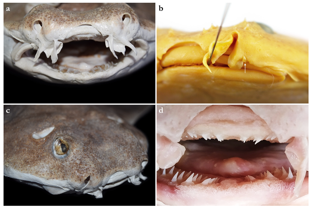 Biology 12 00975 g003