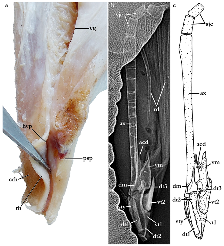 Biology 12 00975 g004
