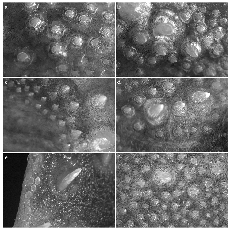 Biology 12 00975 g008