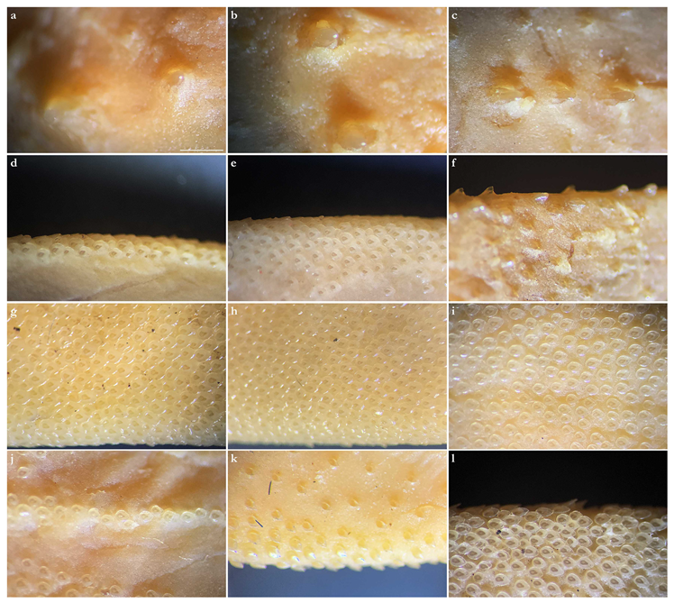 Biology 12 00975 g009