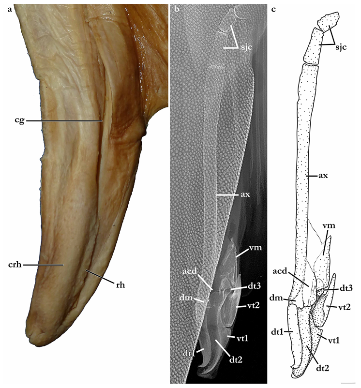 Biology 12 00975 g014