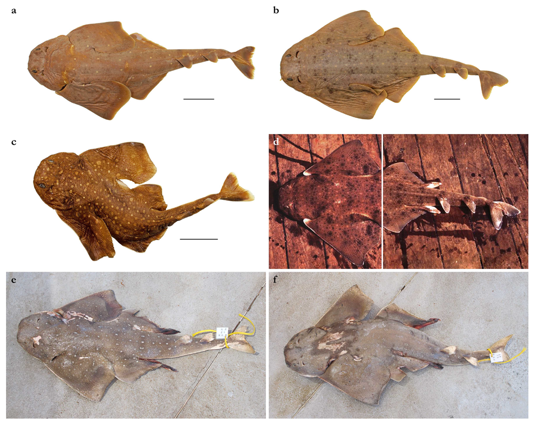 Biology 12 00975 g015