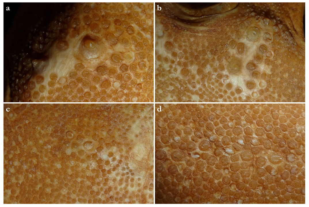 Biology 12 00975 g016