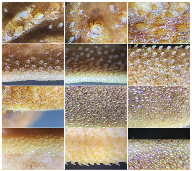 Biology 12 00975 g017