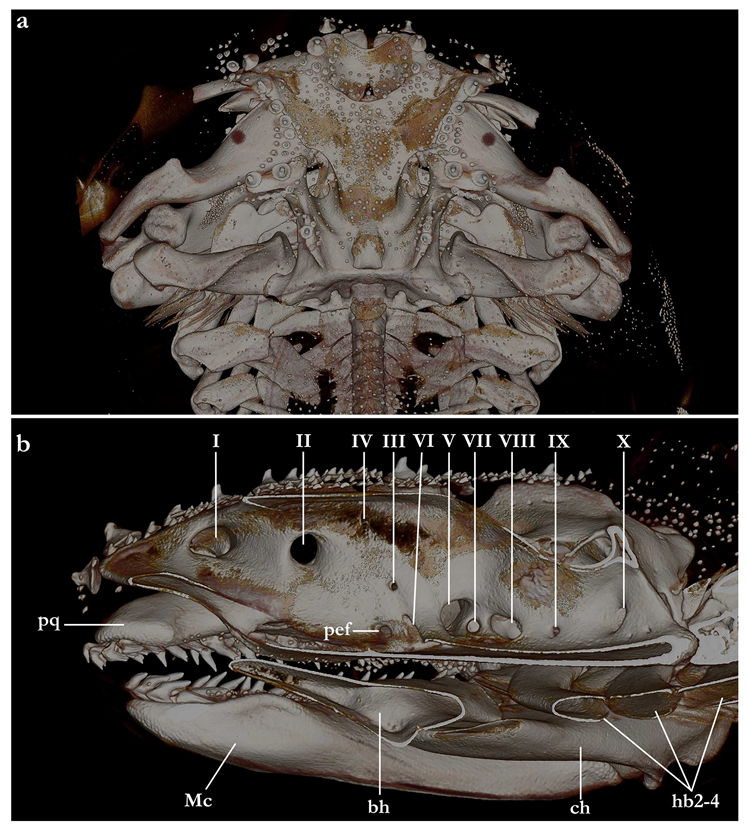 Biology 12 00975 g020
