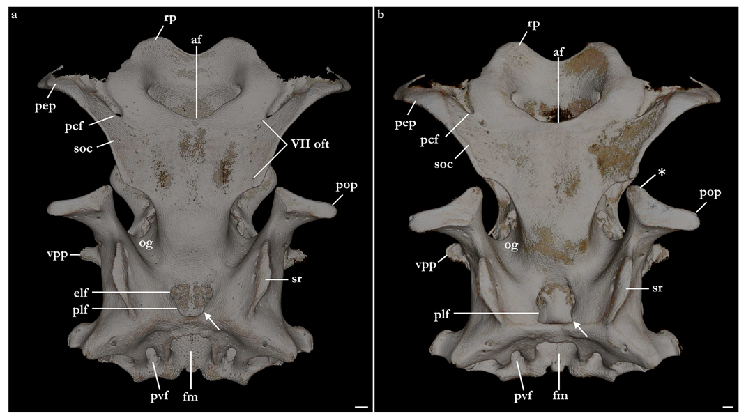 Biology 12 00975 g021