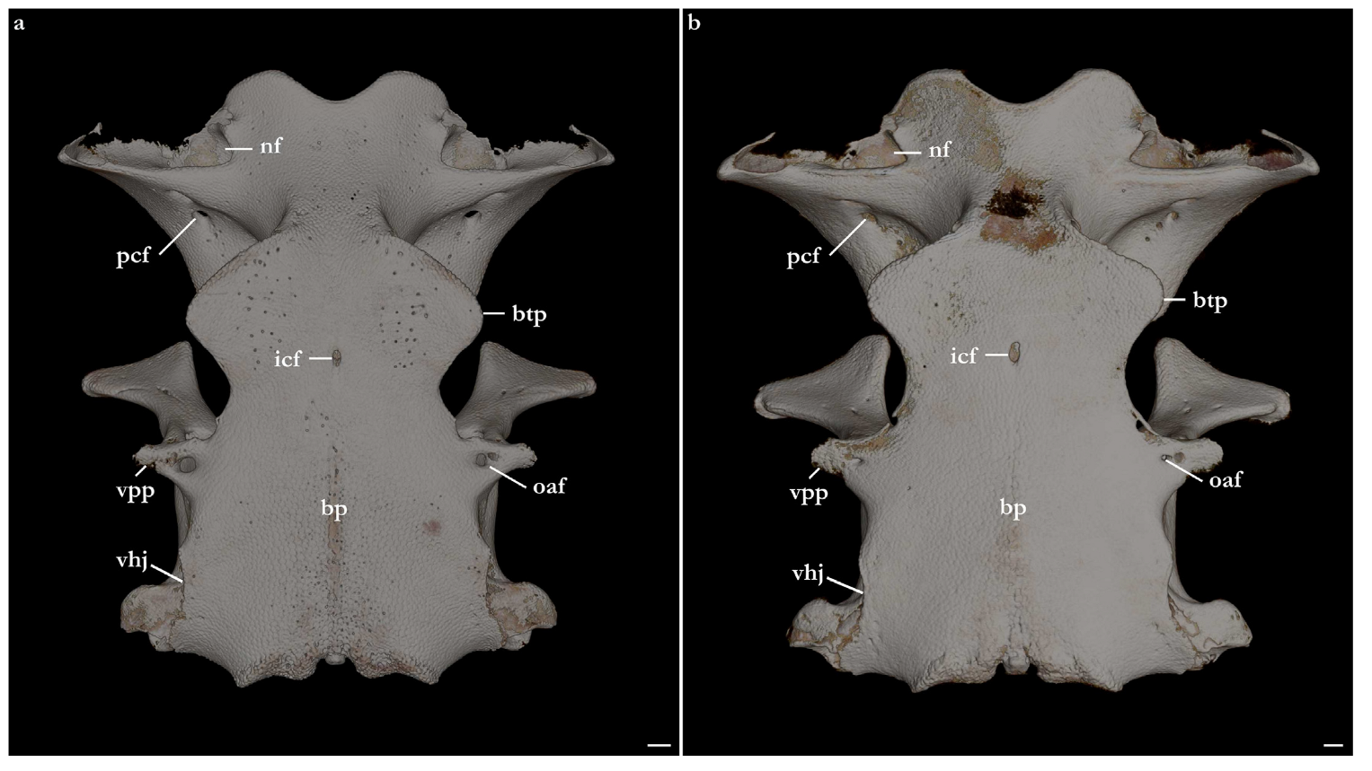 Biology 12 00975 g022