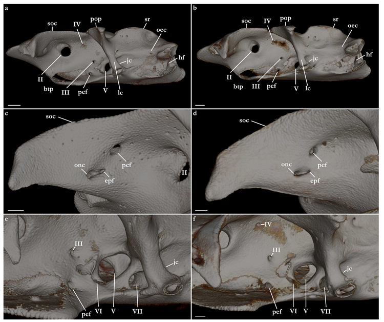 Biology 12 00975 g023