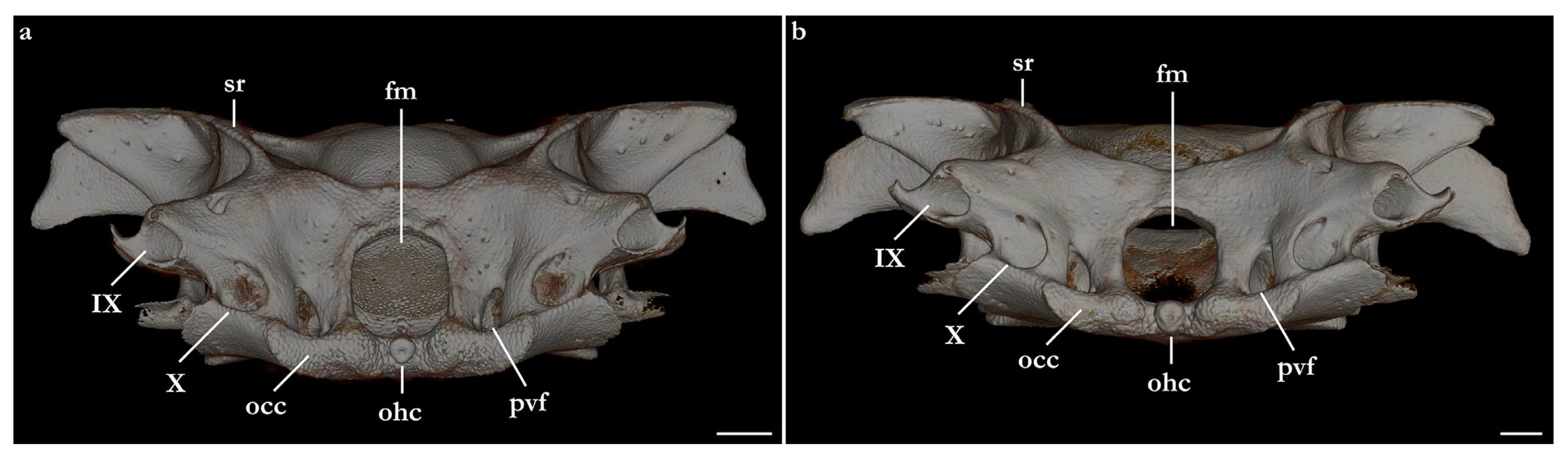 Biology 12 00975 g024