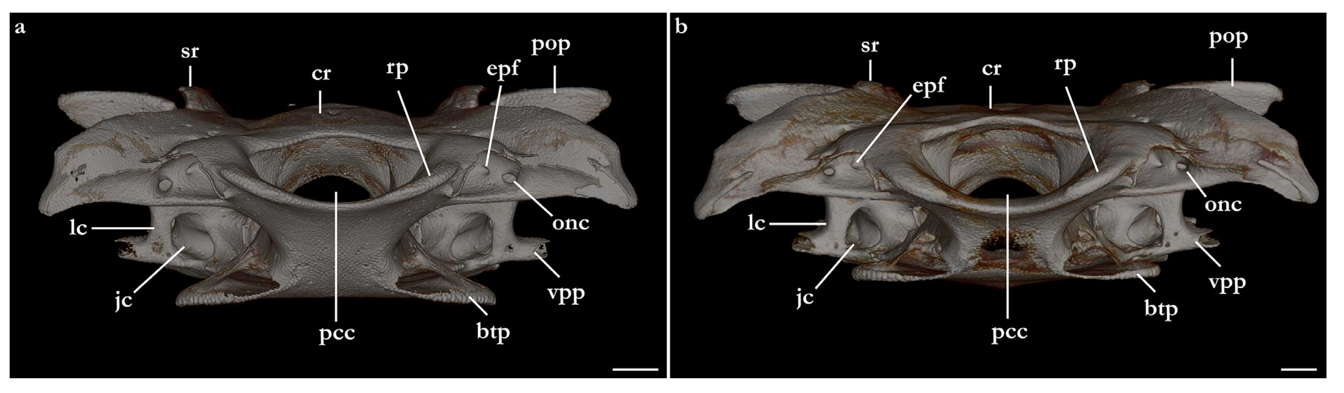 Biology 12 00975 g025