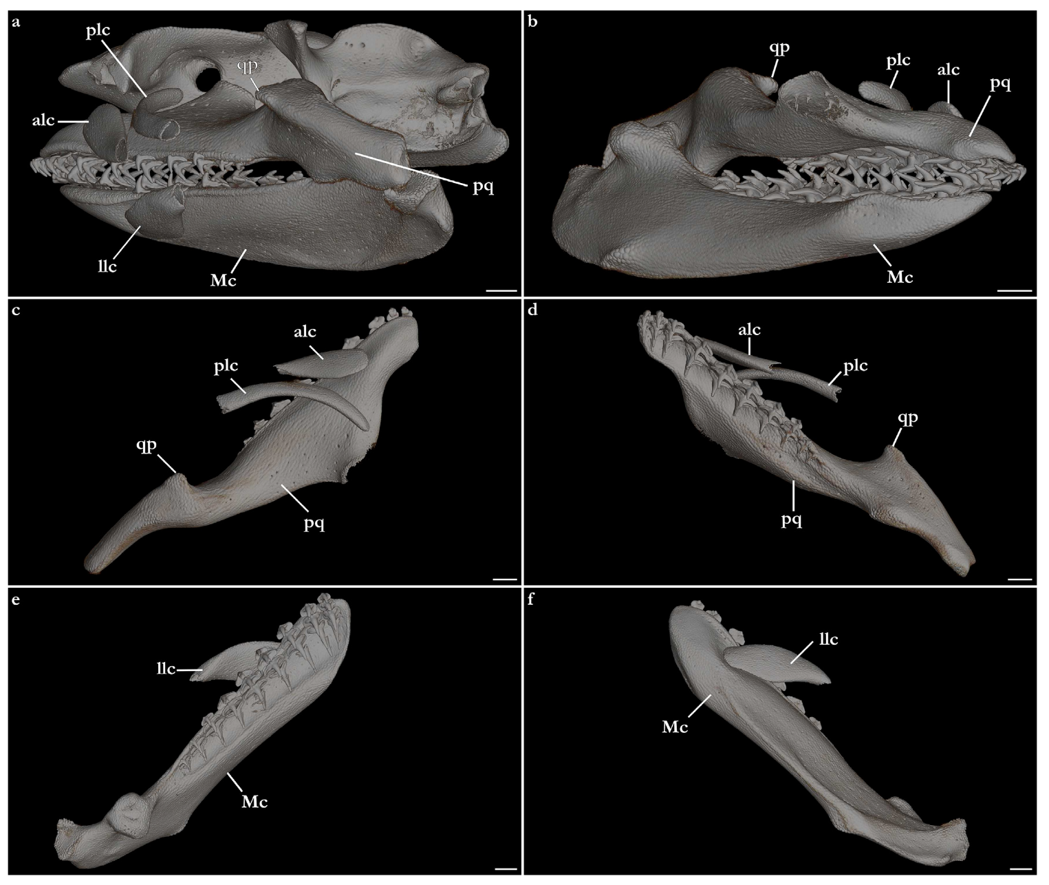 Biology 12 00975 g026