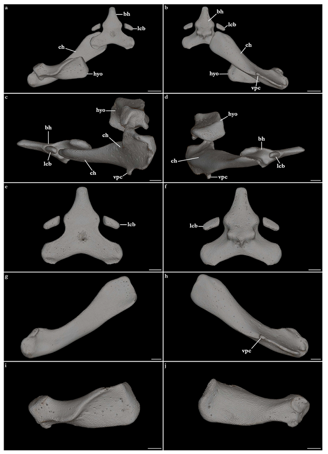 Biology 12 00975 g027