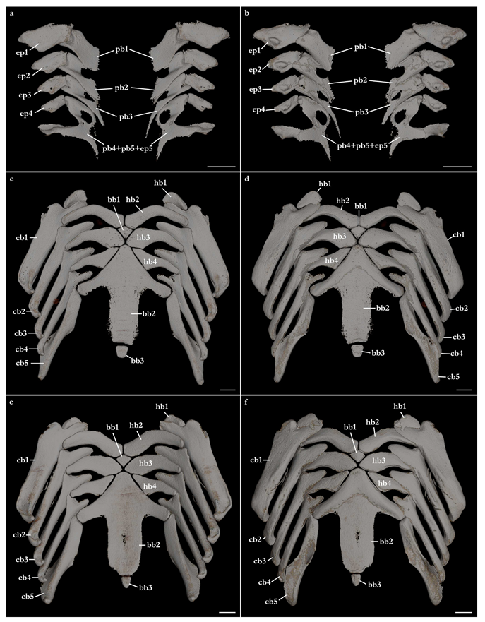 Biology 12 00975 g028