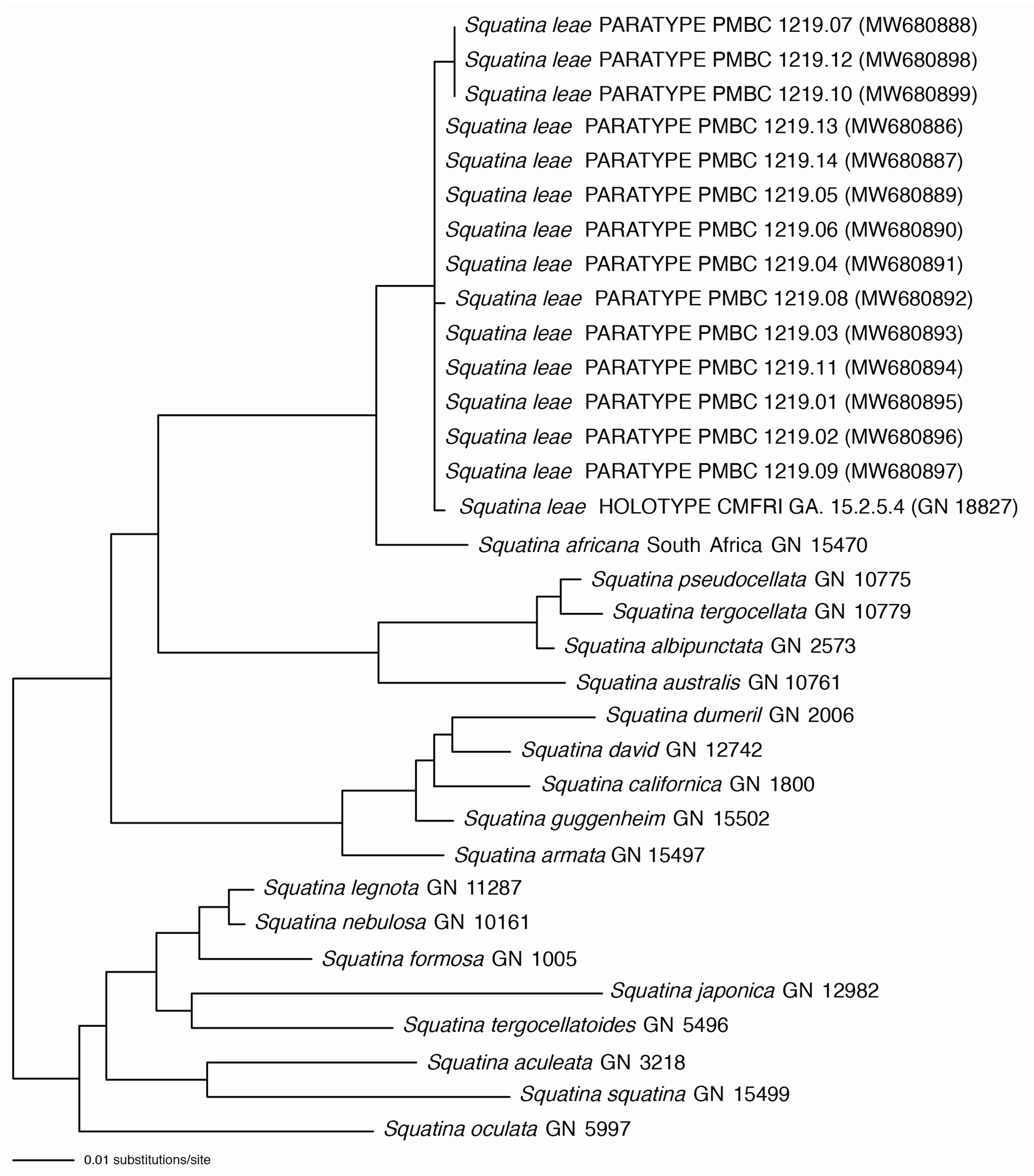 Biology 12 00975 g033