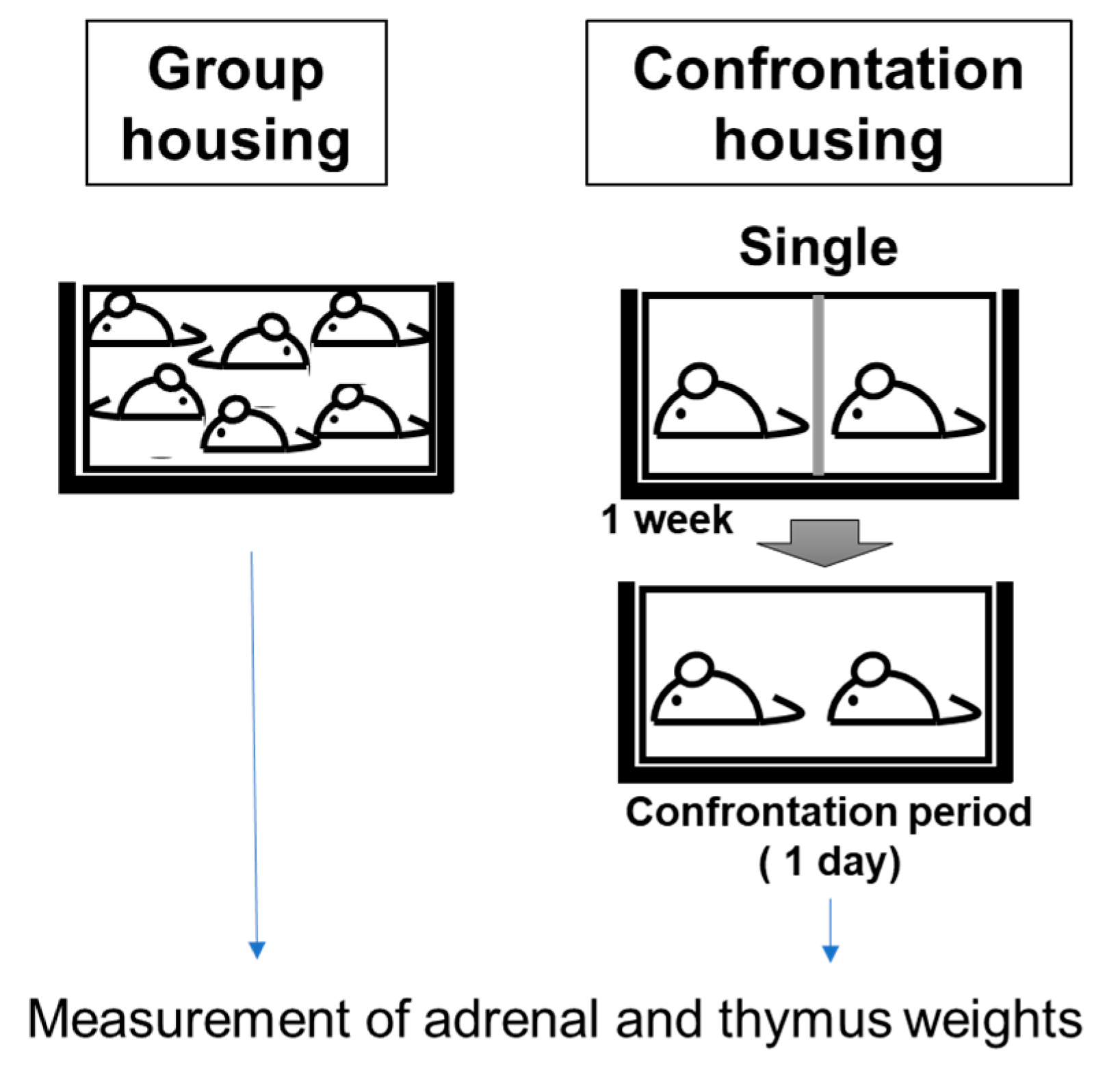 Biology 12 00978 g001 Biology 12 00978 g001