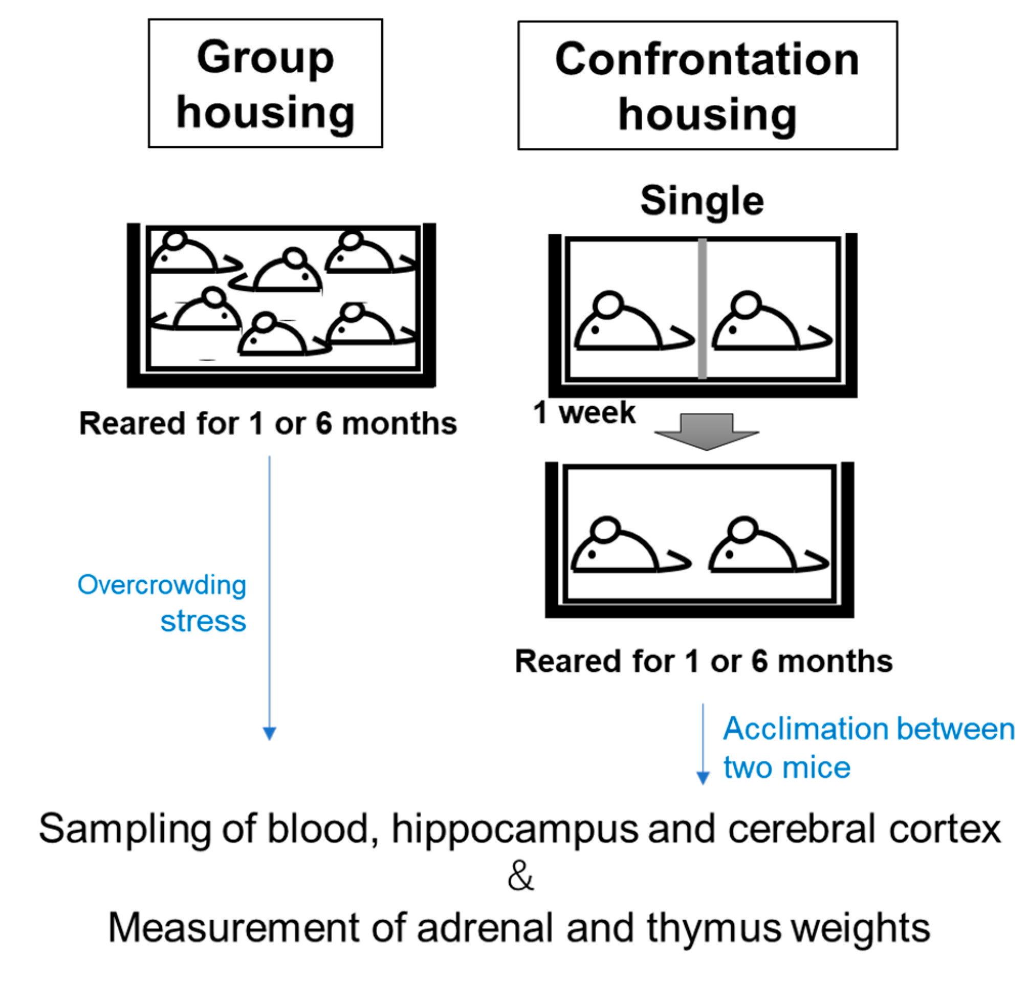 Biology 12 00978 g002 Biology 12 00978 g002