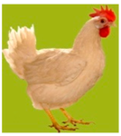 Biology 12 00979 i012 Biology 12 00979 i012