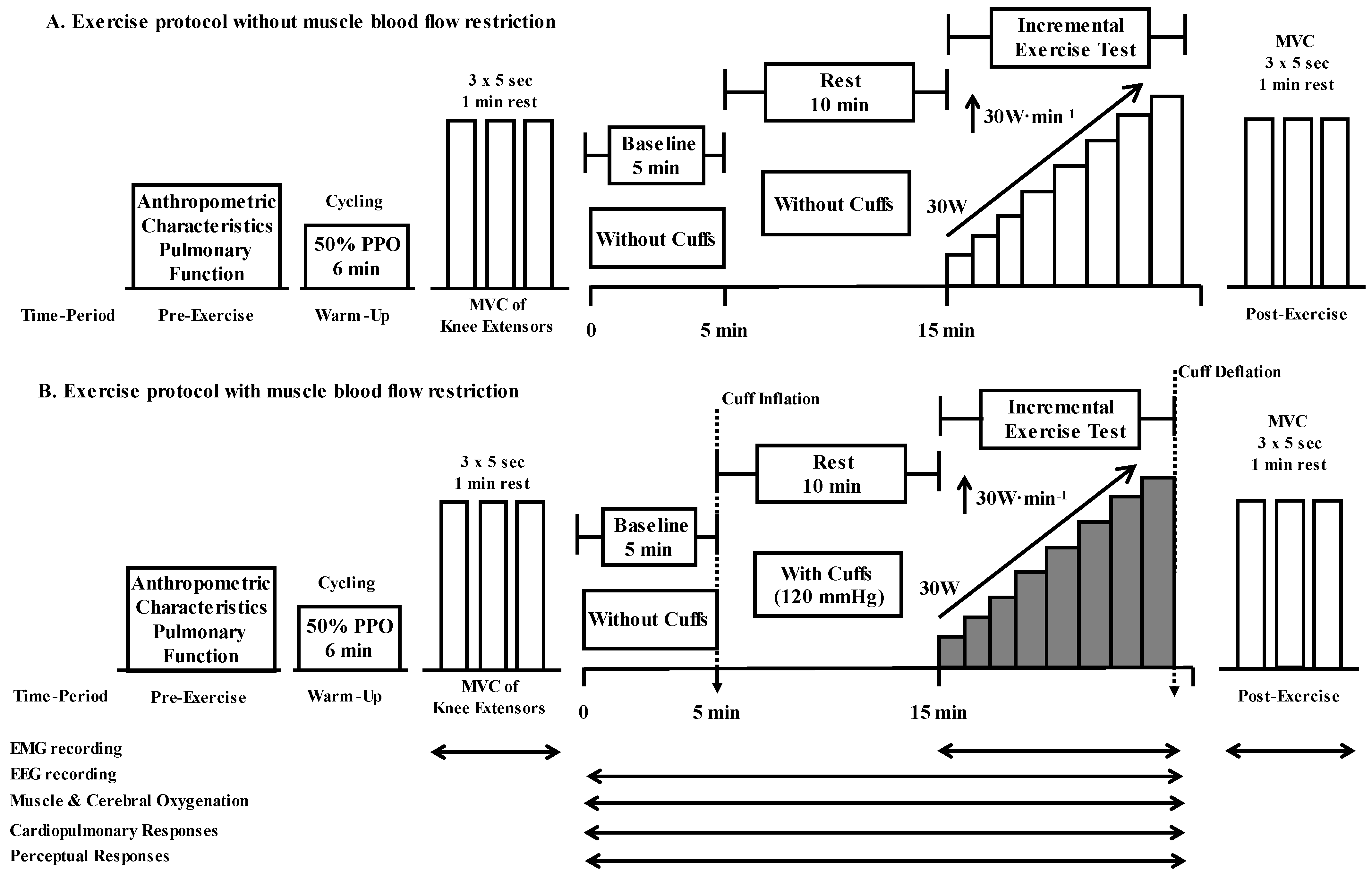 Biology 12 00981 g001 Biology 12 00981 g001