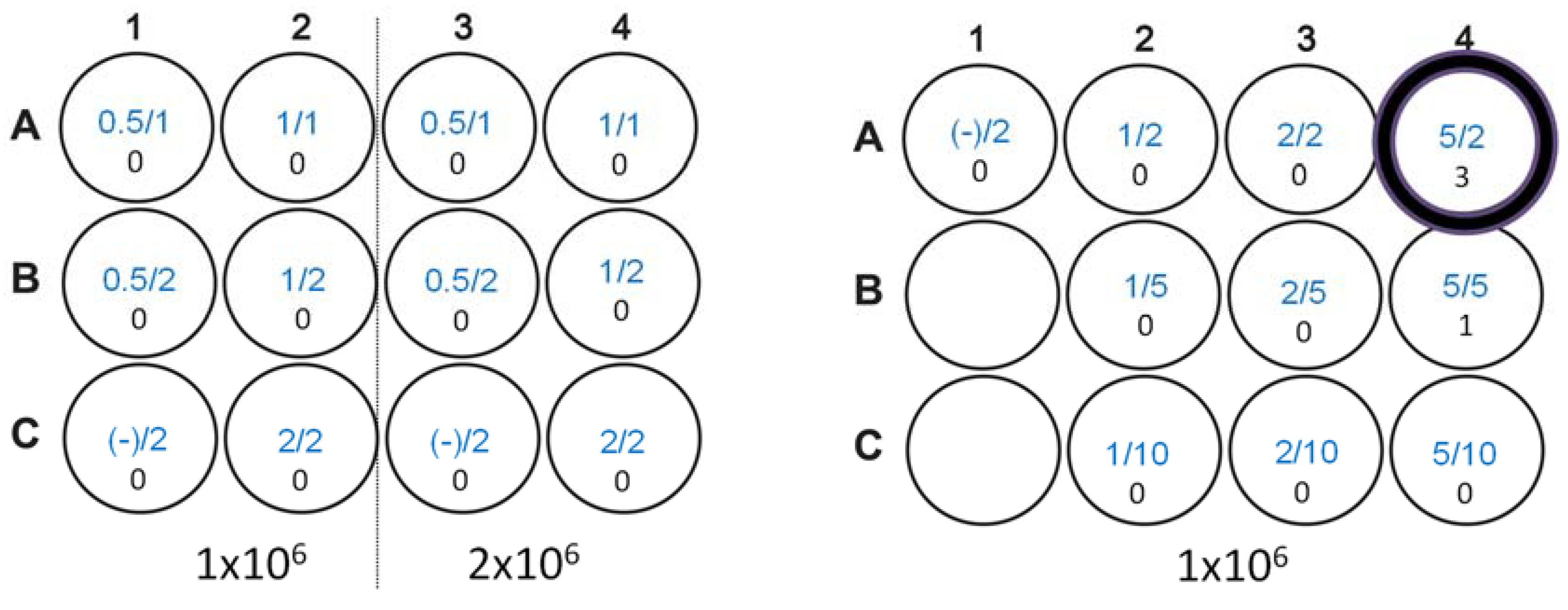 Biology 12 00983 g002