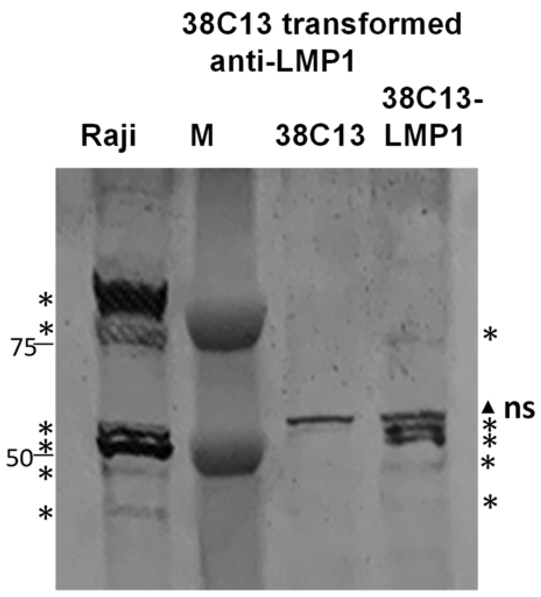 Biology 12 00983 g003