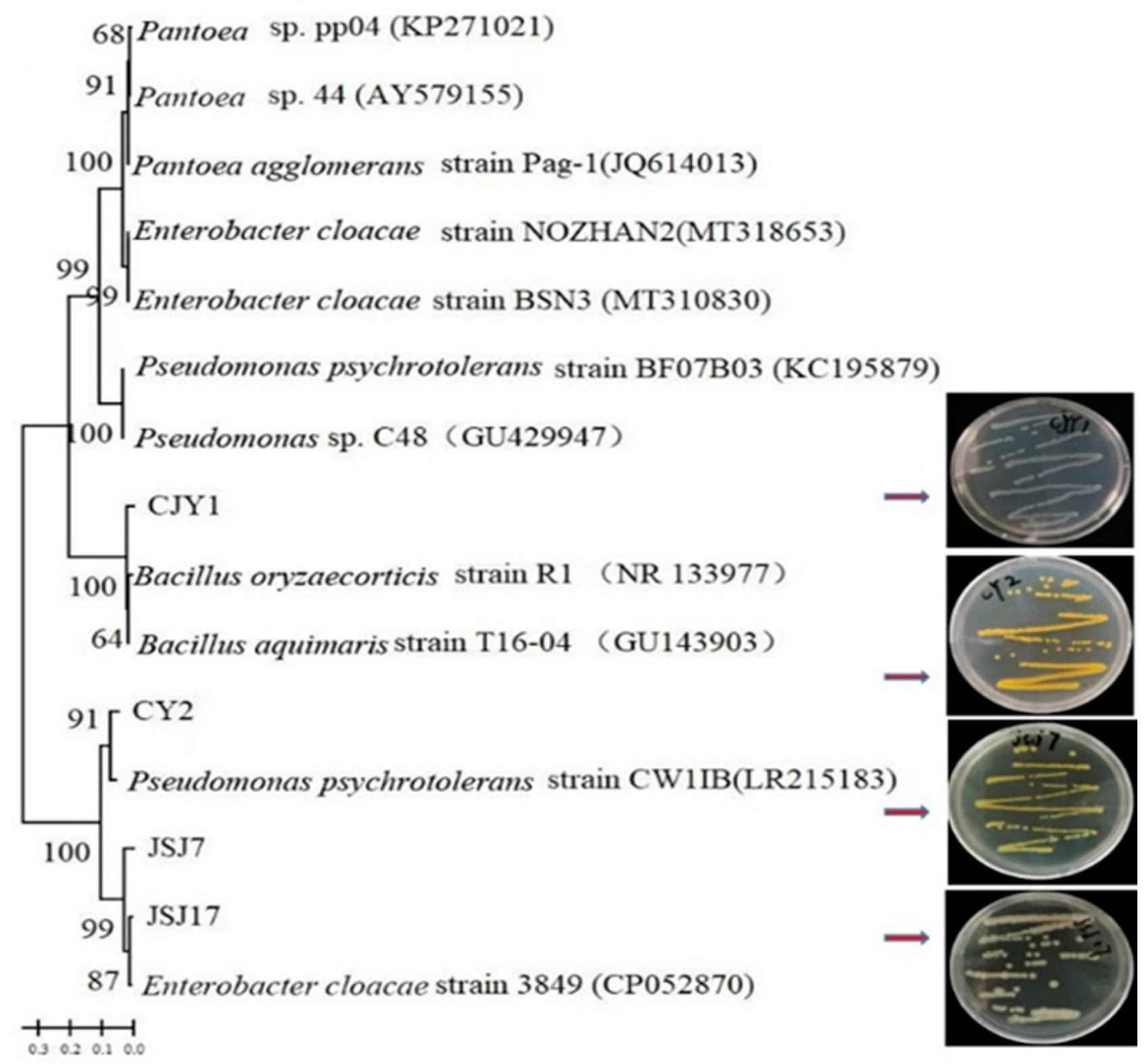 Biology 12 00986 g006 Biology 12 00986 g006