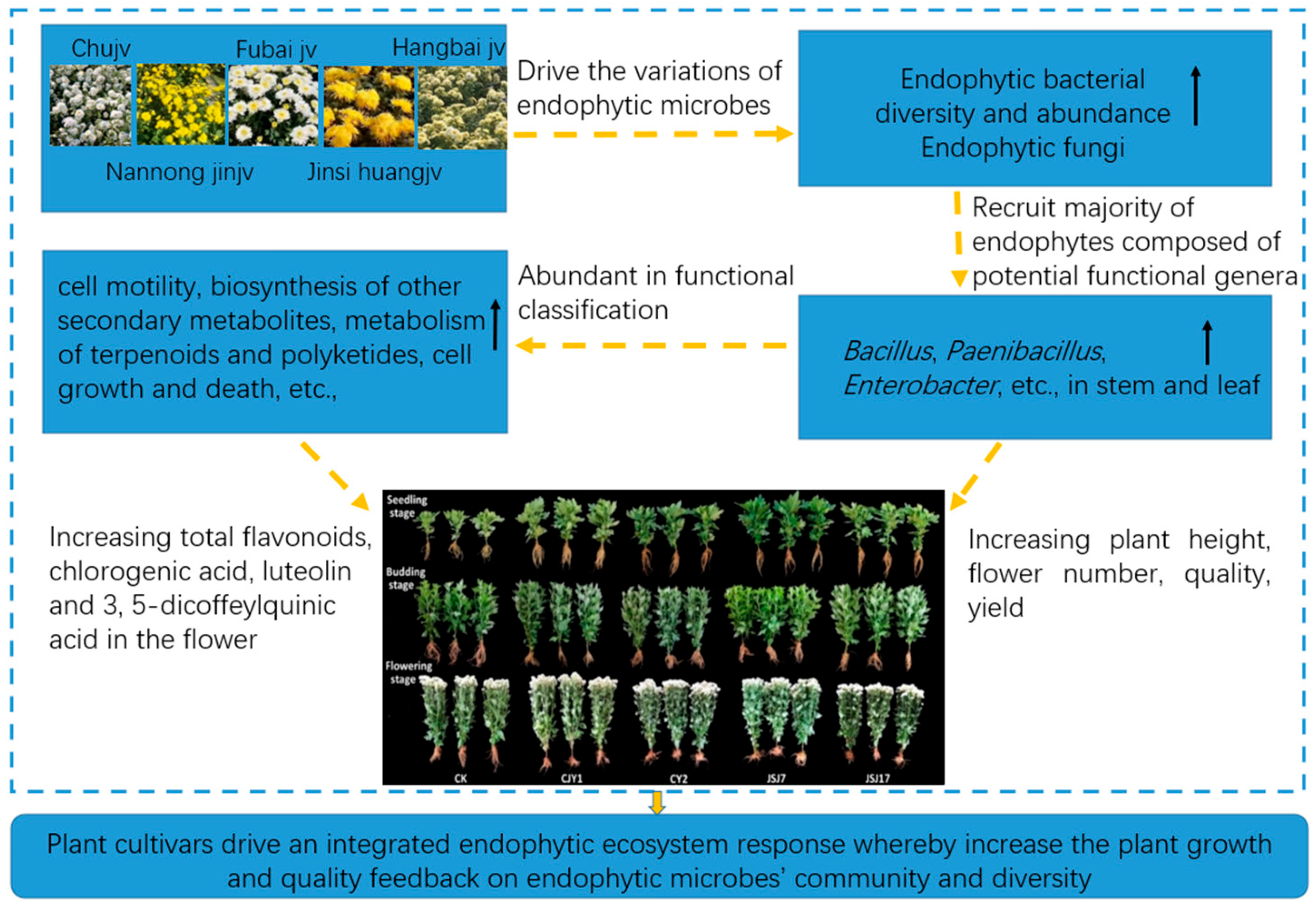 Biology 12 00986 g008 Biology 12 00986 g008