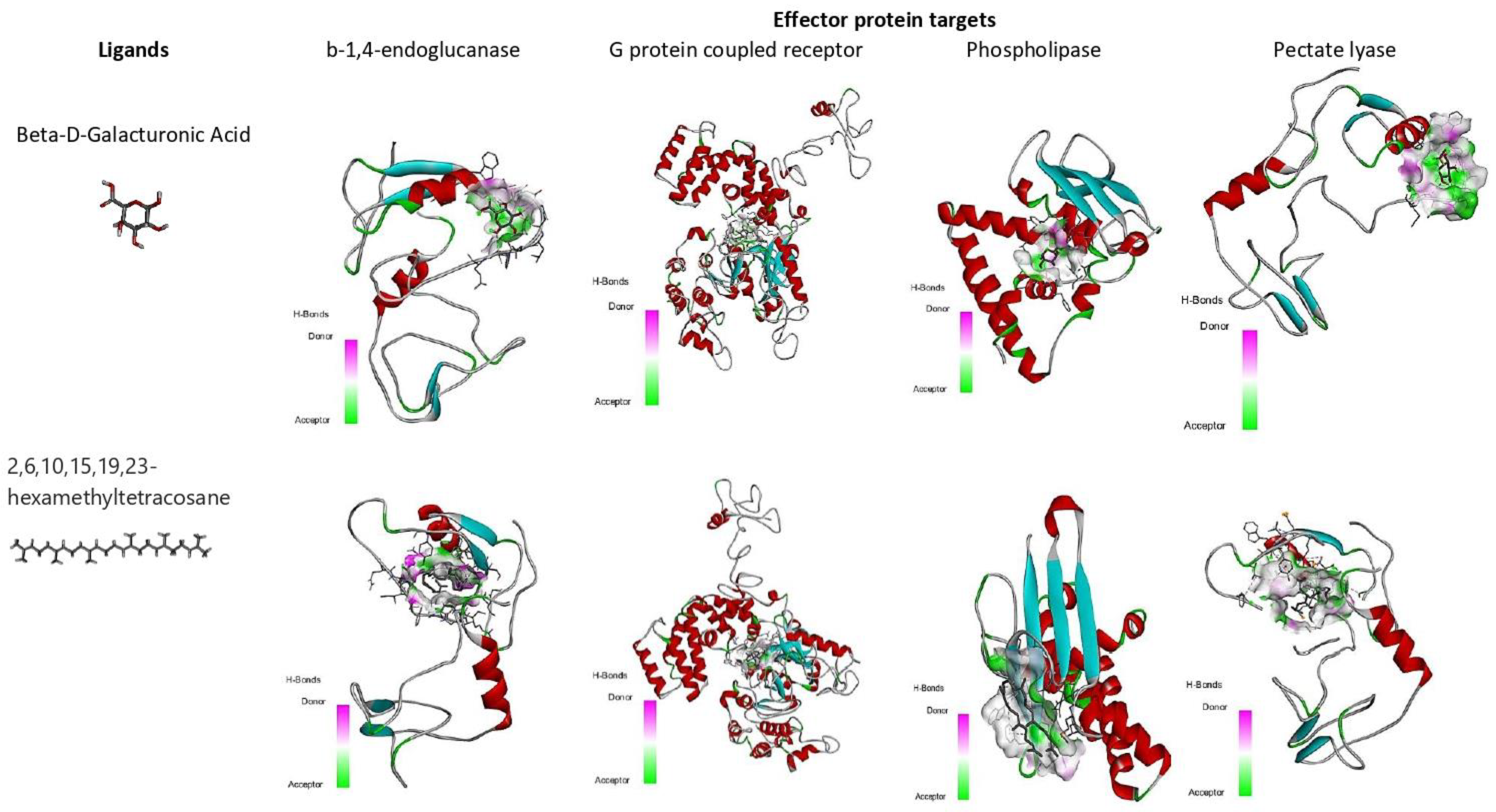 Biology 12 00987 g008 Biology 12 00987 g008